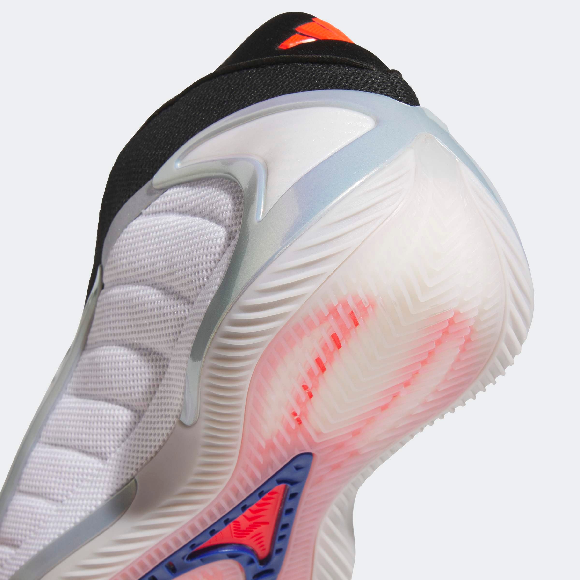 adidas Performance Chaussure de basket »ANTHONY EDWARDS 2«