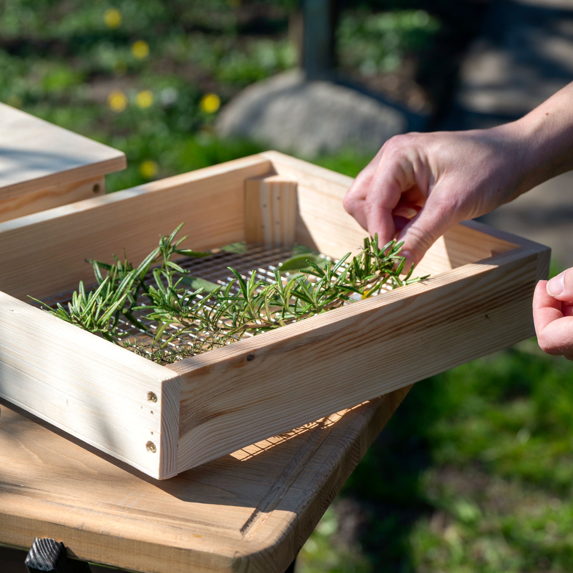 dobar Déshydrateur »Solar-Trockner aus Holz« pour sécher herbes, fruits et légumes
