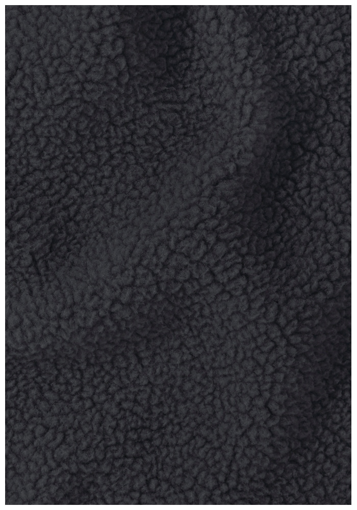 Jack Wolfskin Veste polaire »LITE CURL FZ M« Atmungsaktiv, leicht, Übergangsjacke