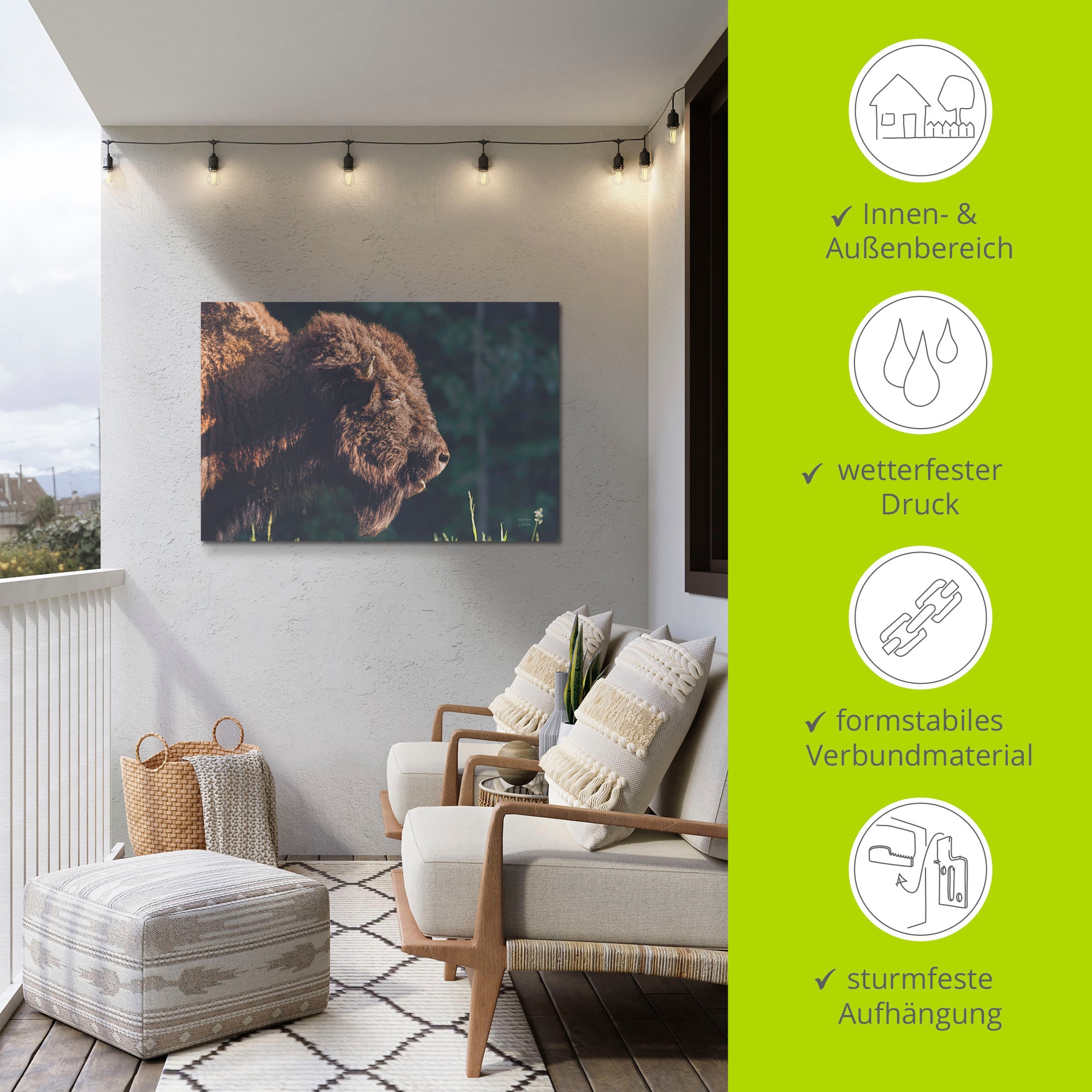 Artland Fresque murale »Bison Meditation« Animaux sauvages 1 cuis tlg. en image alu, toile, poster, autocollant mural en différentes tailles