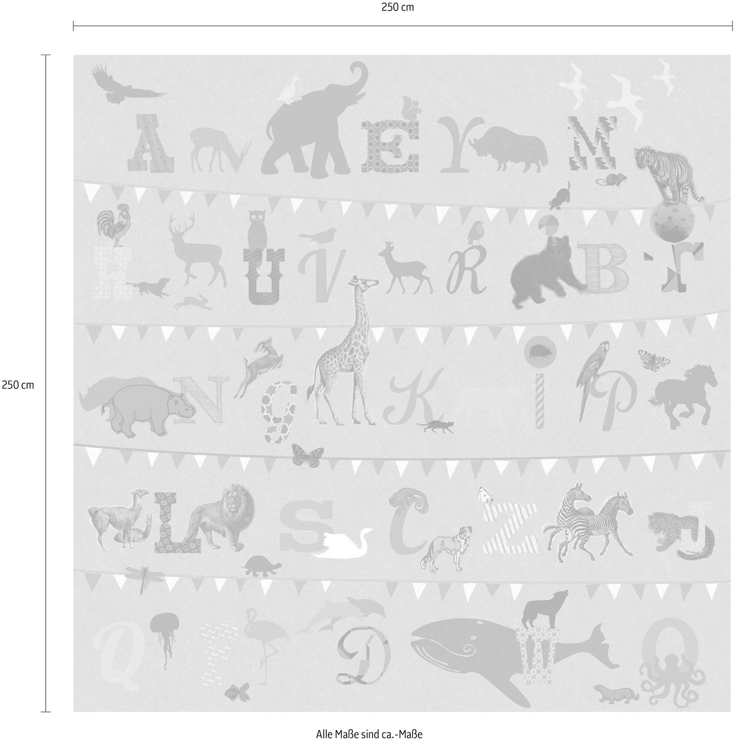 Komar Papier peint intissé »Digitaldruck Vlies -  T wie Tiger - Grösse 250 x 250 cm« imprimé Wohnzimmer, Schlafzimmer