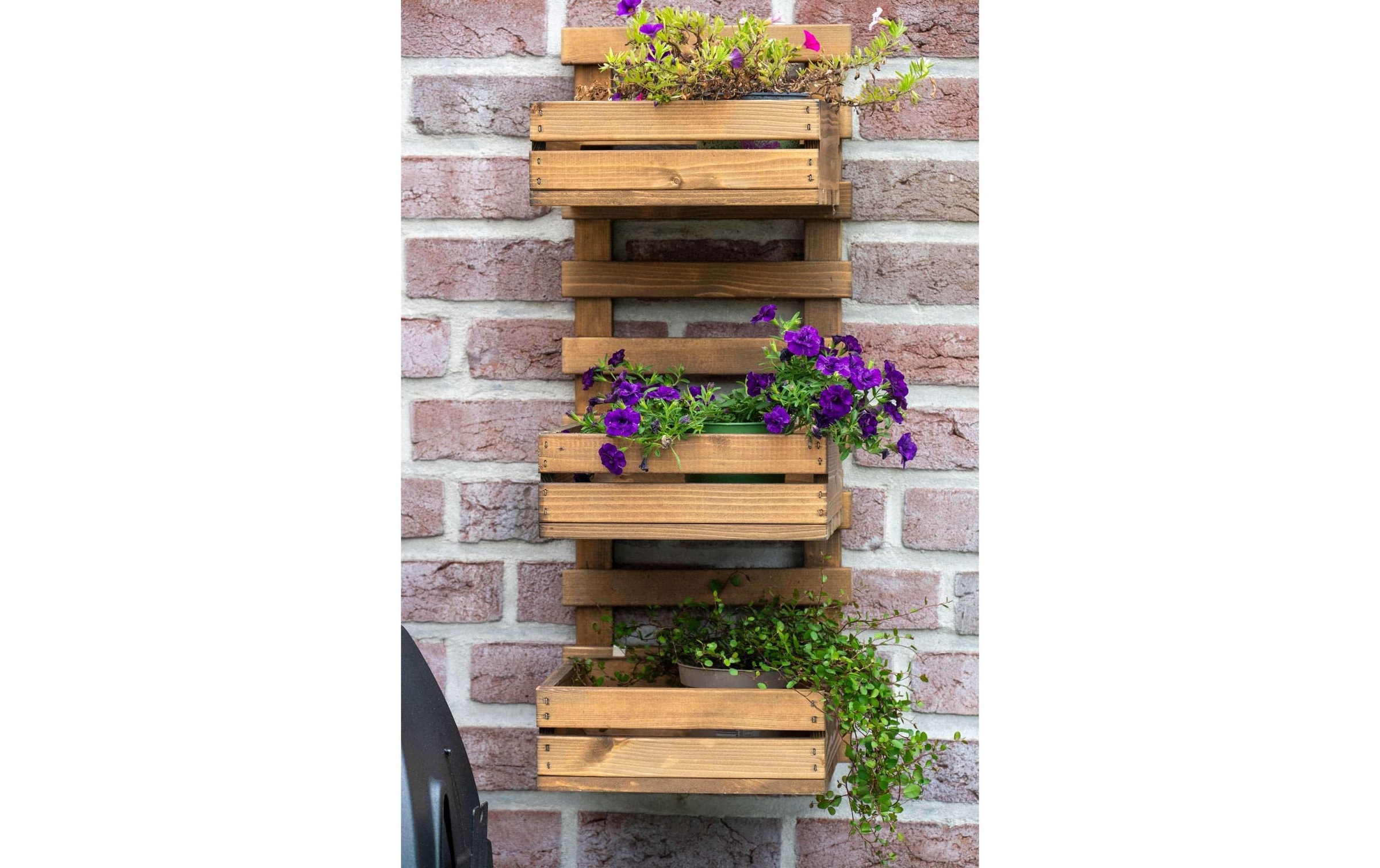 dobar Lit surélevé »3-stufige Blumenleiter für die Wandmontage«