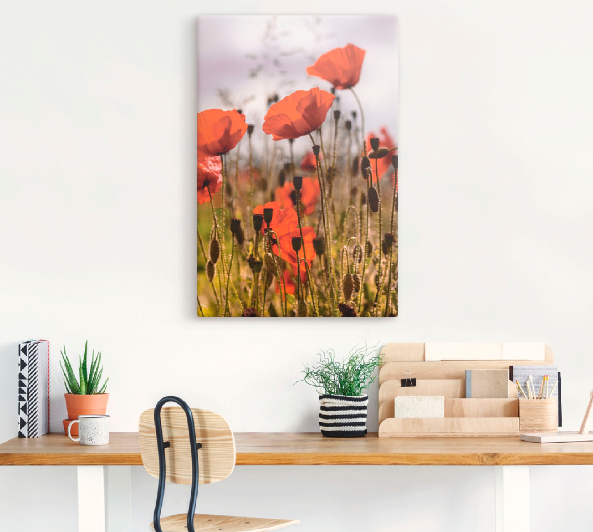 Artland Wandbild »Mohnblumen im Morgenlicht« Blumenwiese 1 Stk. tlg. als Alubild, Outdoorbild, Leinwandbild, Poster in verschied. Grössen