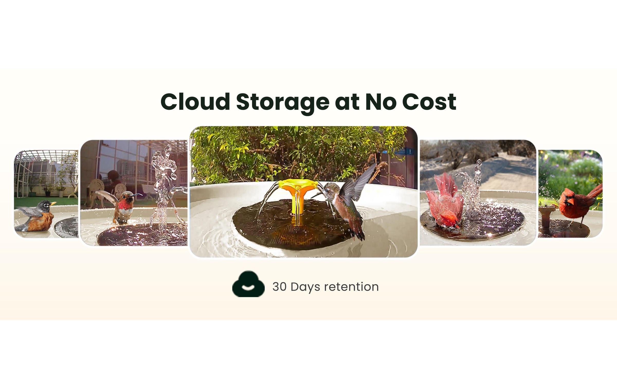 Birdfy Mangeoire pour oiseaux »Vogelbad mit Kamera« Solarbetrieben, KI und Video Vogelerkennung