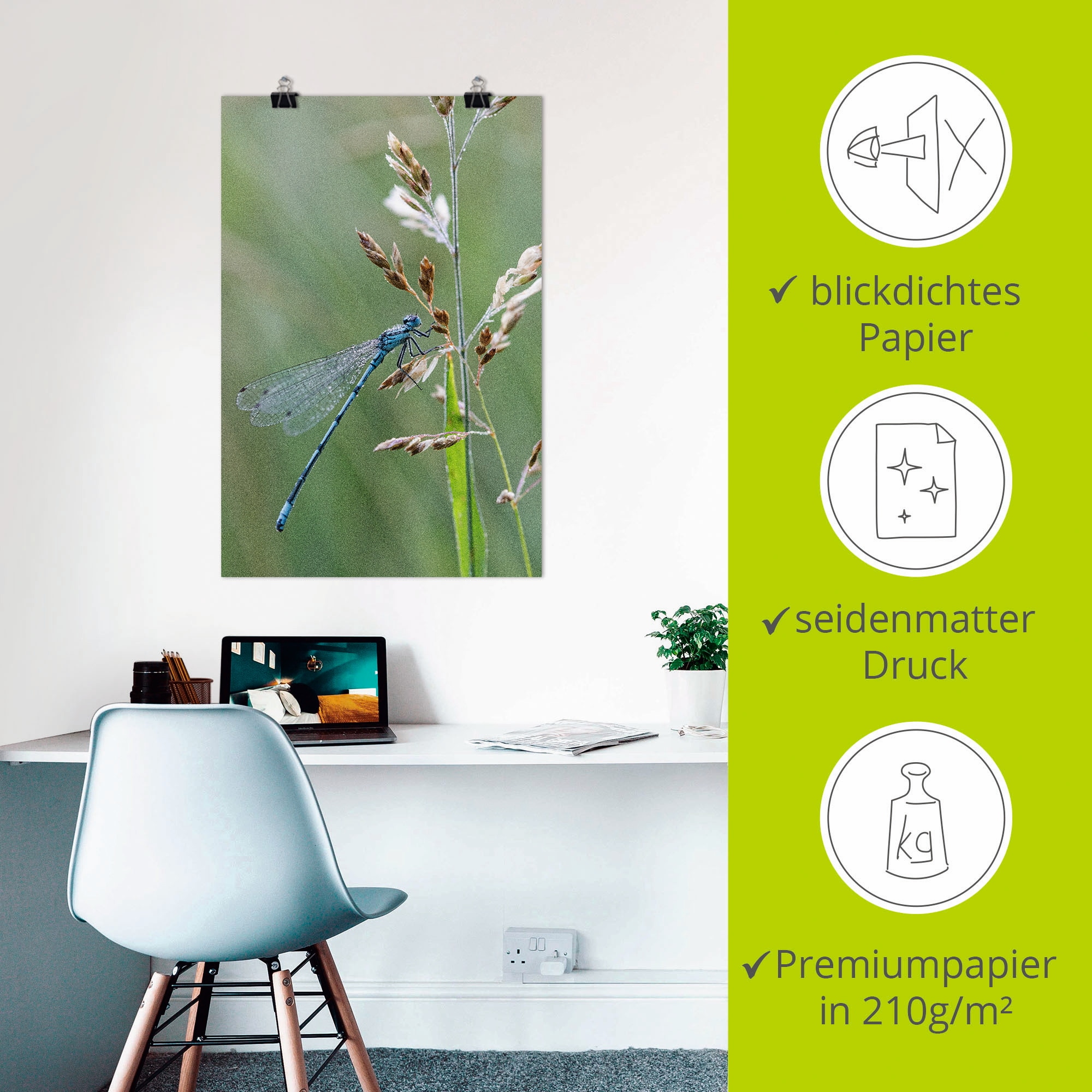 Artland Poster »Kleine Libelle« Insekten 1 Stk. tlg. als Alubild, Leinwandbild, Wandaufkleber oder Poster in versch. Grössen