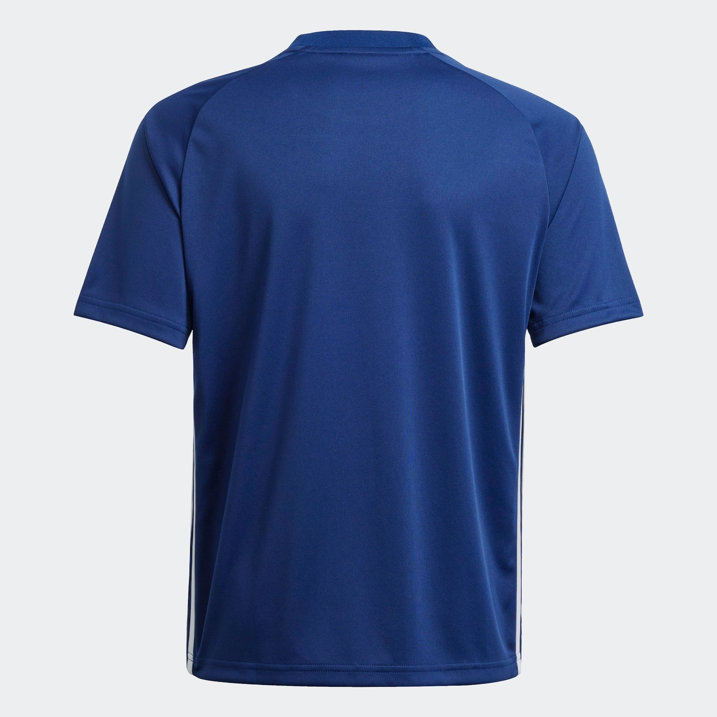 adidas Performance Fussballtrikot »TIRO ES JSY Y«