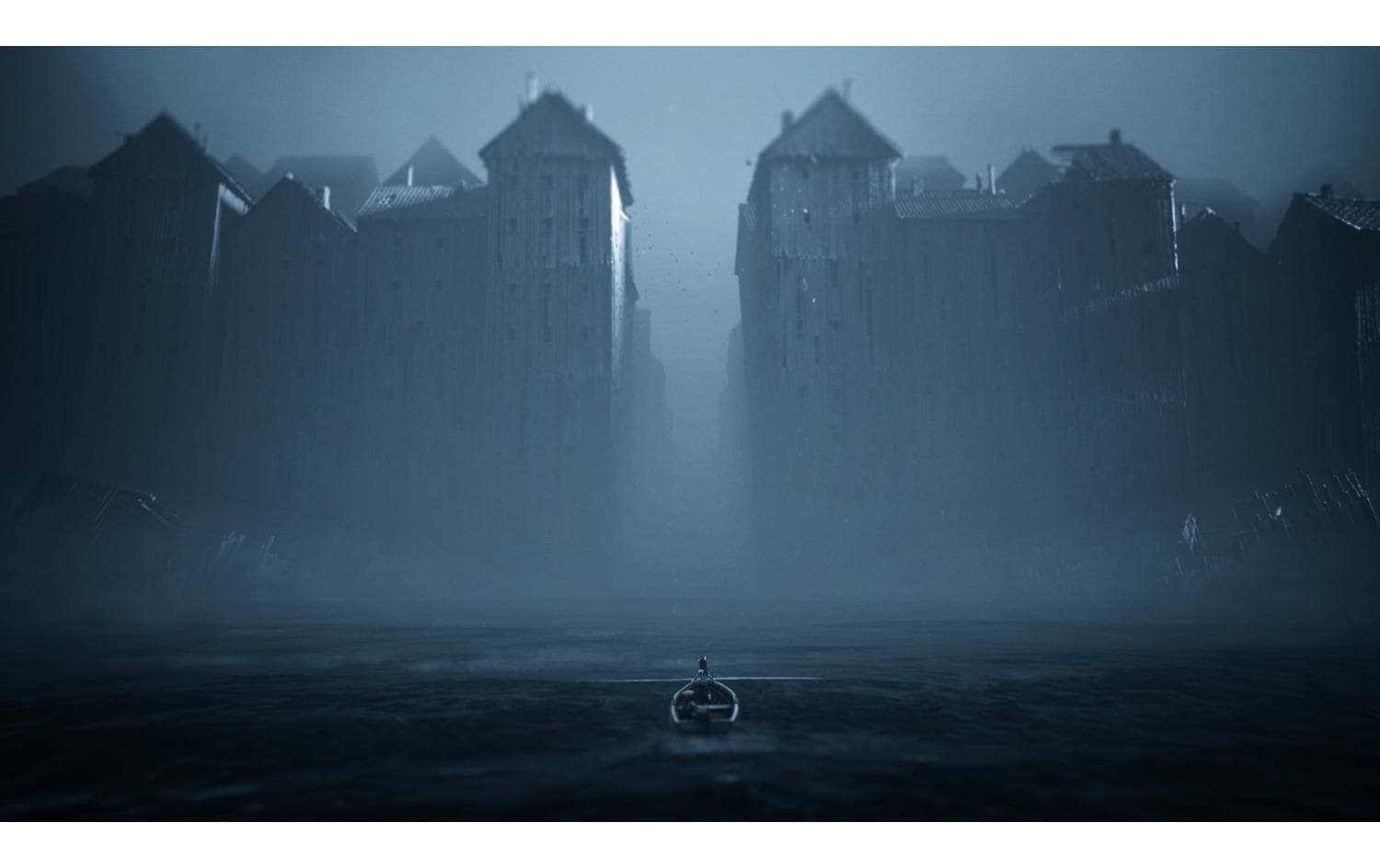   Spielesoftware »Reanimal (Box)«