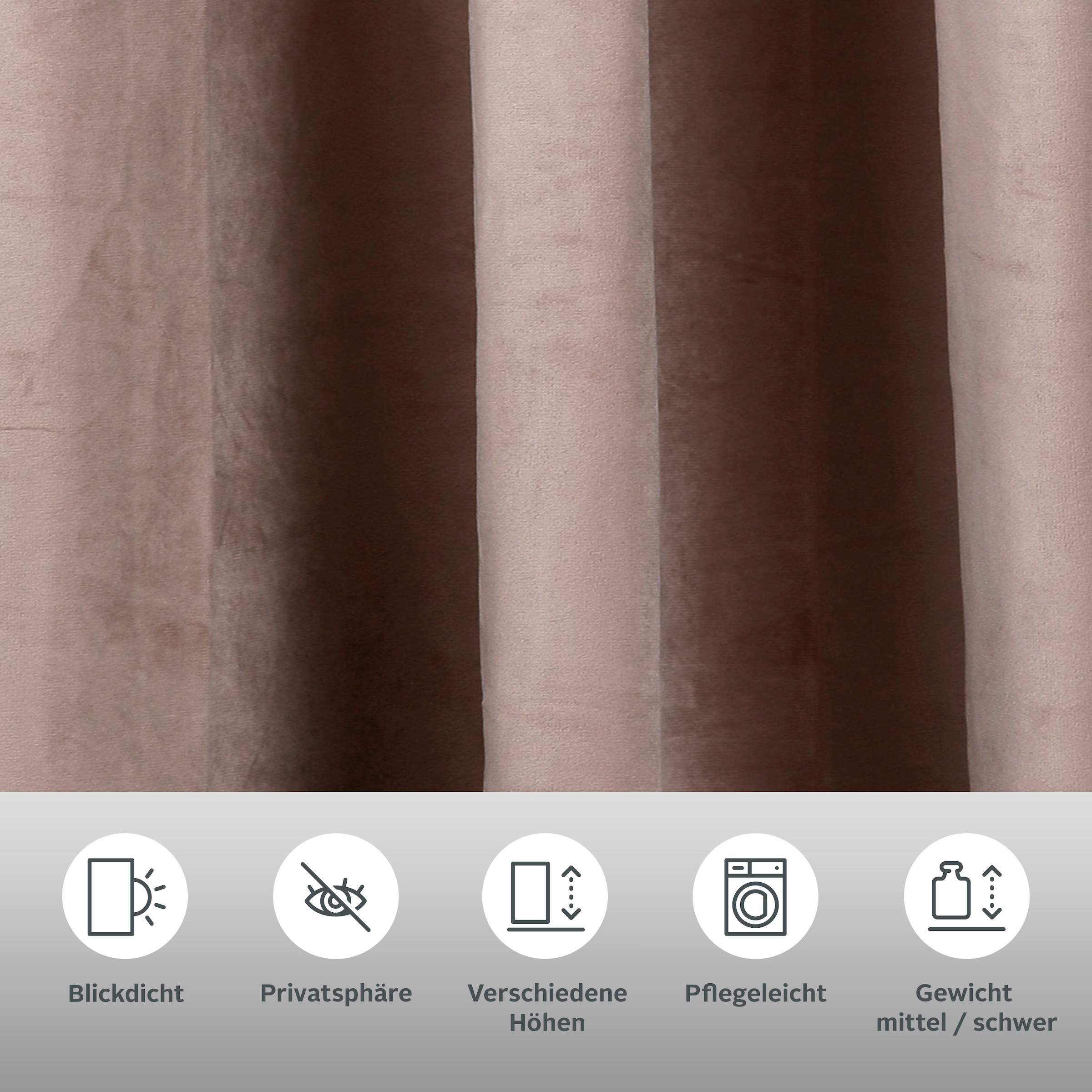 my home Rideau »Velvet uni« Bande multifonctionnelle 2 cuis tlg. Samt, 2-er Set, Vorhang, edel, einfarbig