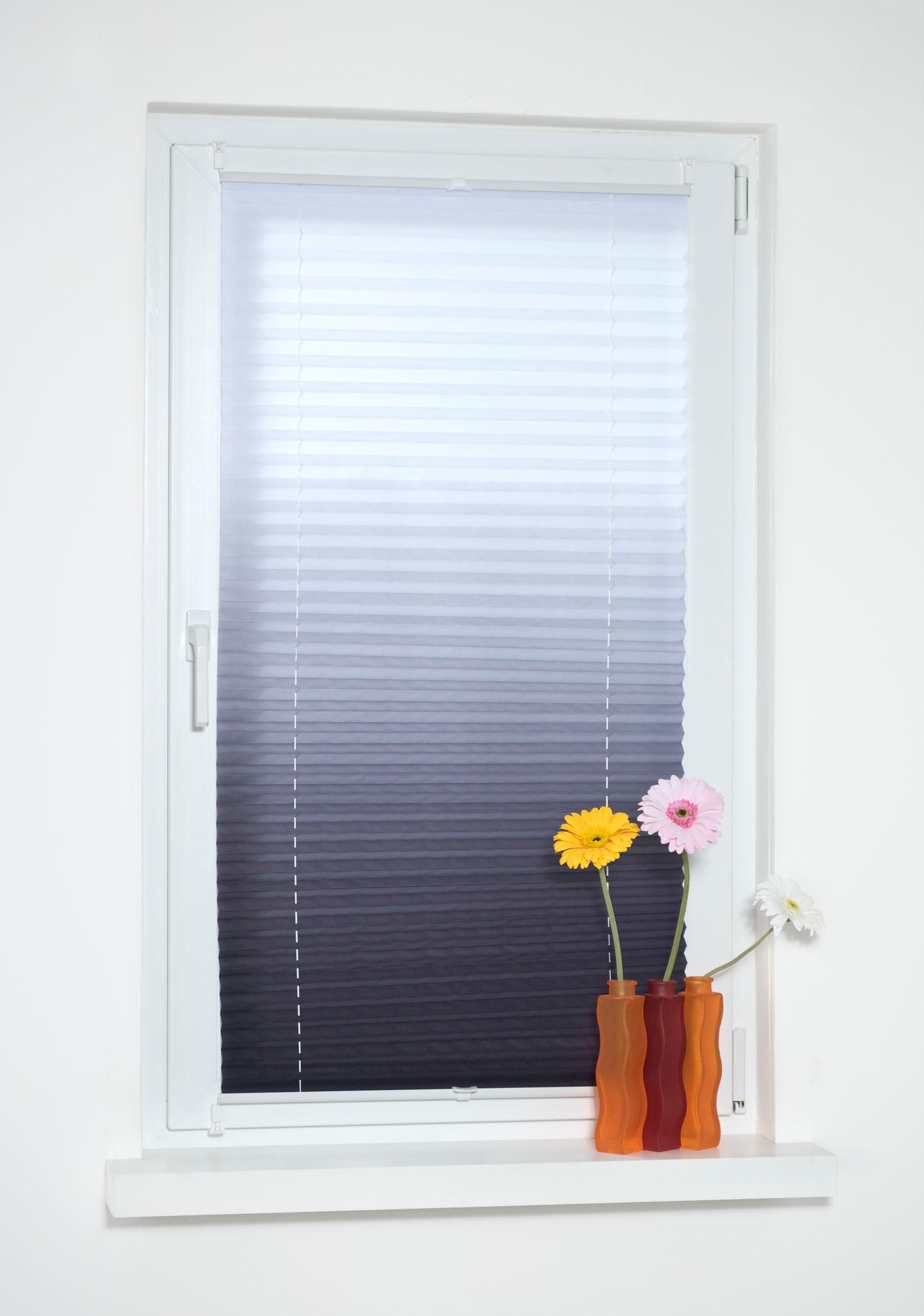 Liedeco Plissé »Farbverlauf« Lichtschutz ohne Bohren verspannt