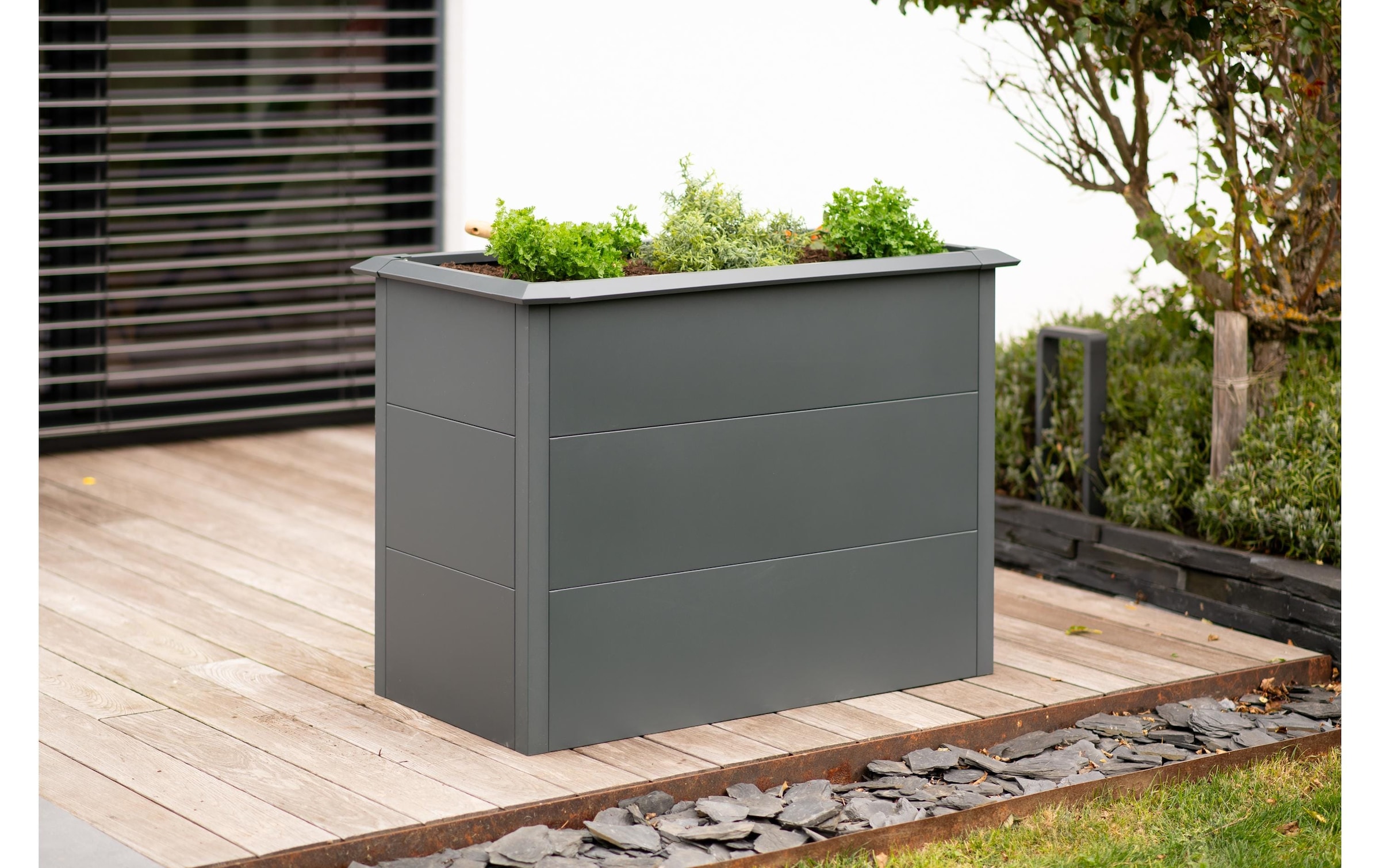 WESTMANN Lit surélevé »Metall Hochbeet Primus M« anthracite, 100x50x77 cm