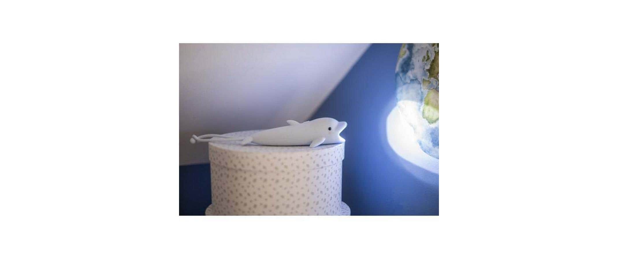   Lampe de poche »Flashlight LED Luz Led fest verbaut«