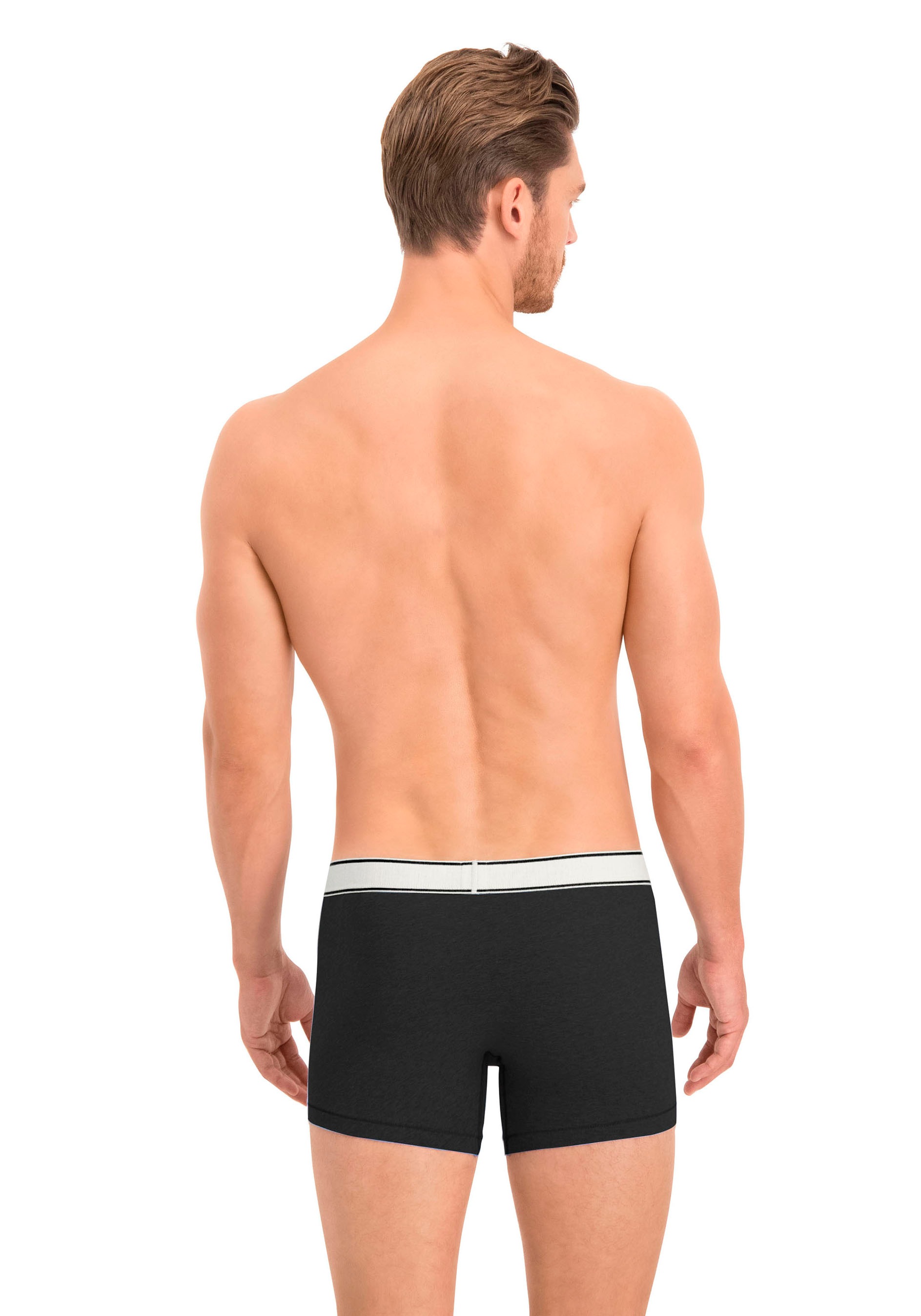 Levi's® Boxers »LEVIS MEN VNTG HTR BOXER BRIEF ORG CO 2P« 2er Pack,  mit breitem Logobund