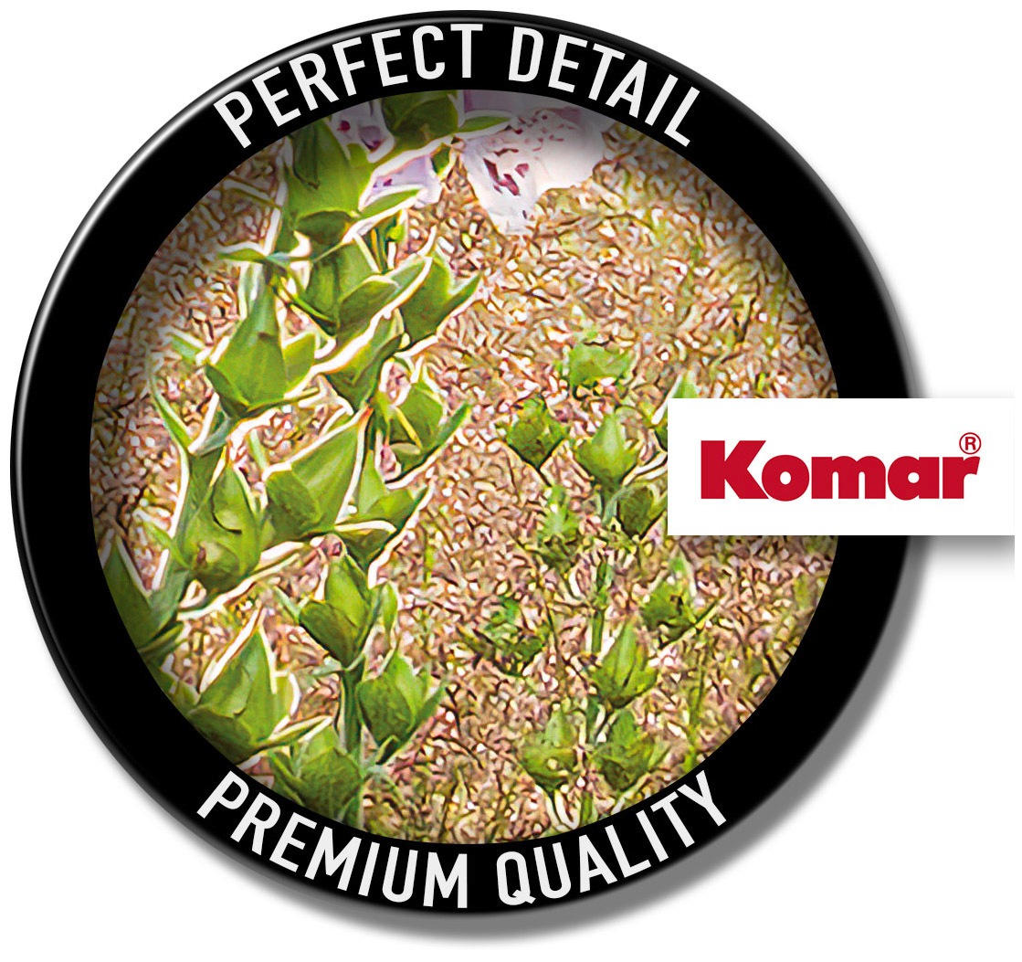 Komar Papier peint intissé »Digitaldruck Vlies -  Summer Glade - Grösse 350 x 250 cm« imprimé Wohnzimmer, Schlafzimmer