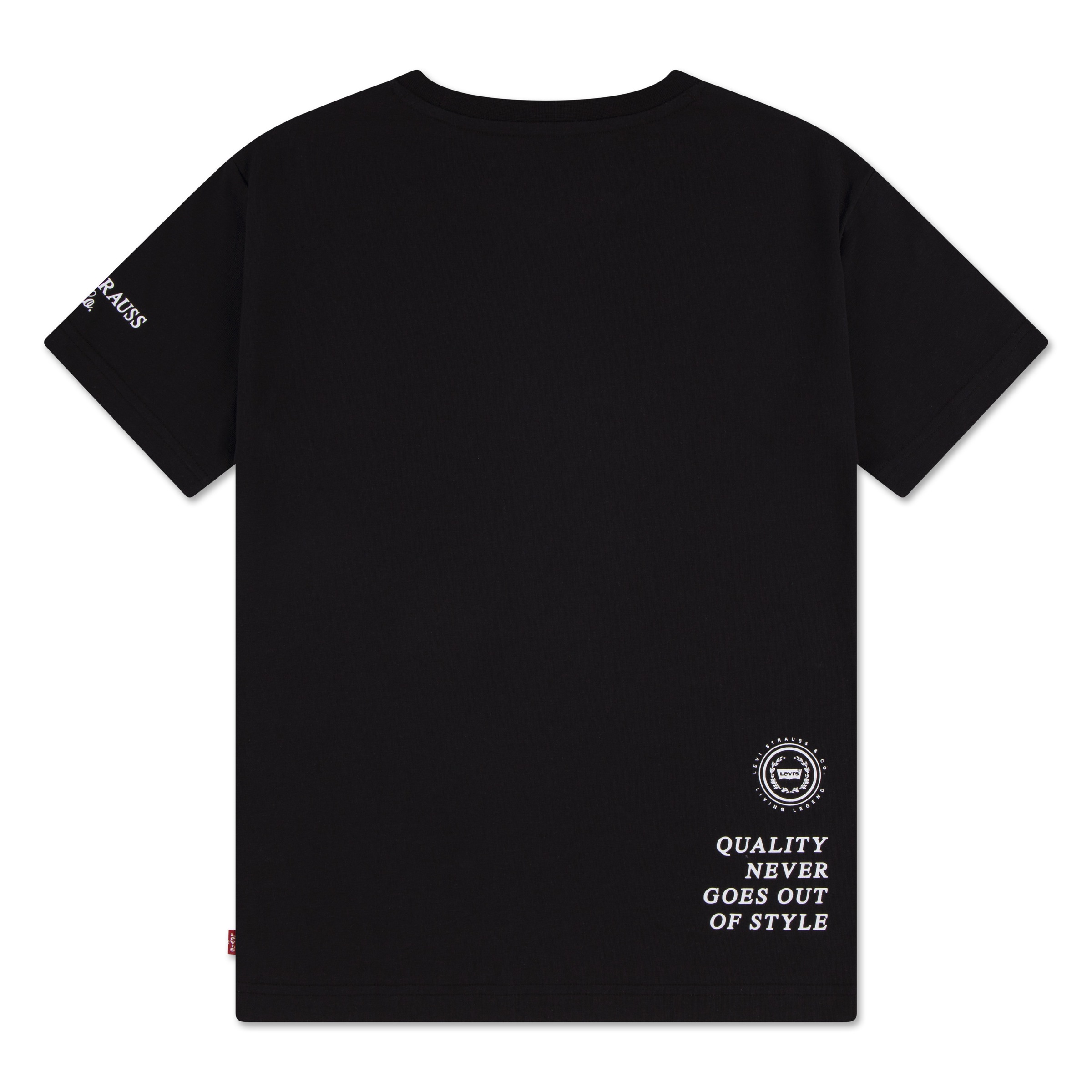 Levi's® Kids T-Shirt »LVB URBAN PREP TEE« for Boys, mit Stickerei und Print