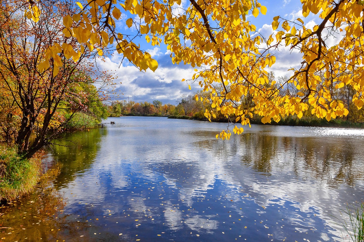 Papermoon Papier peint photo »Wald See«