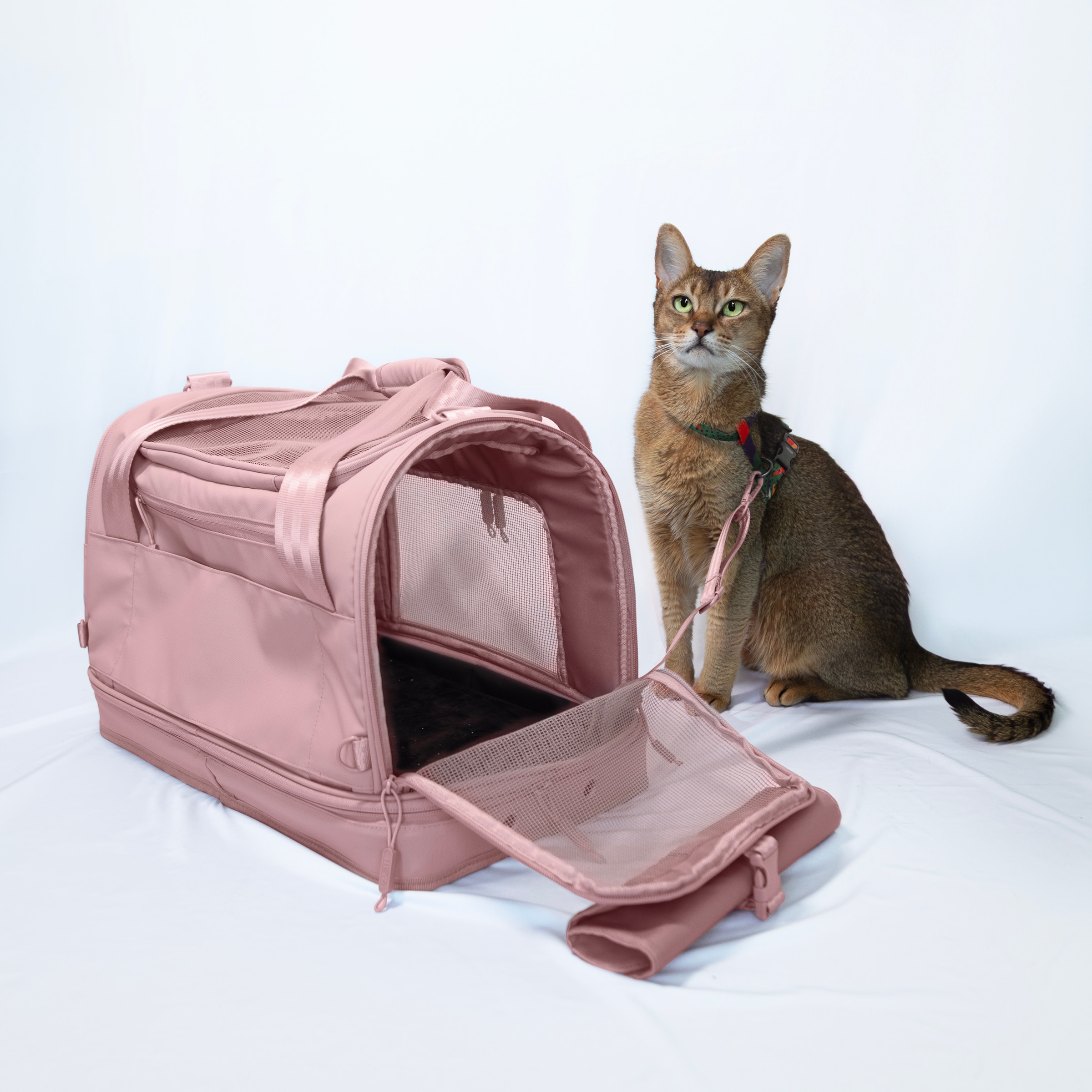 Heys Sac de transport pour animaux »Heys Pawsenger« valise pour animaux, sac de transport pour animaux, adapté pour bagage à main selon la recommandation IATA