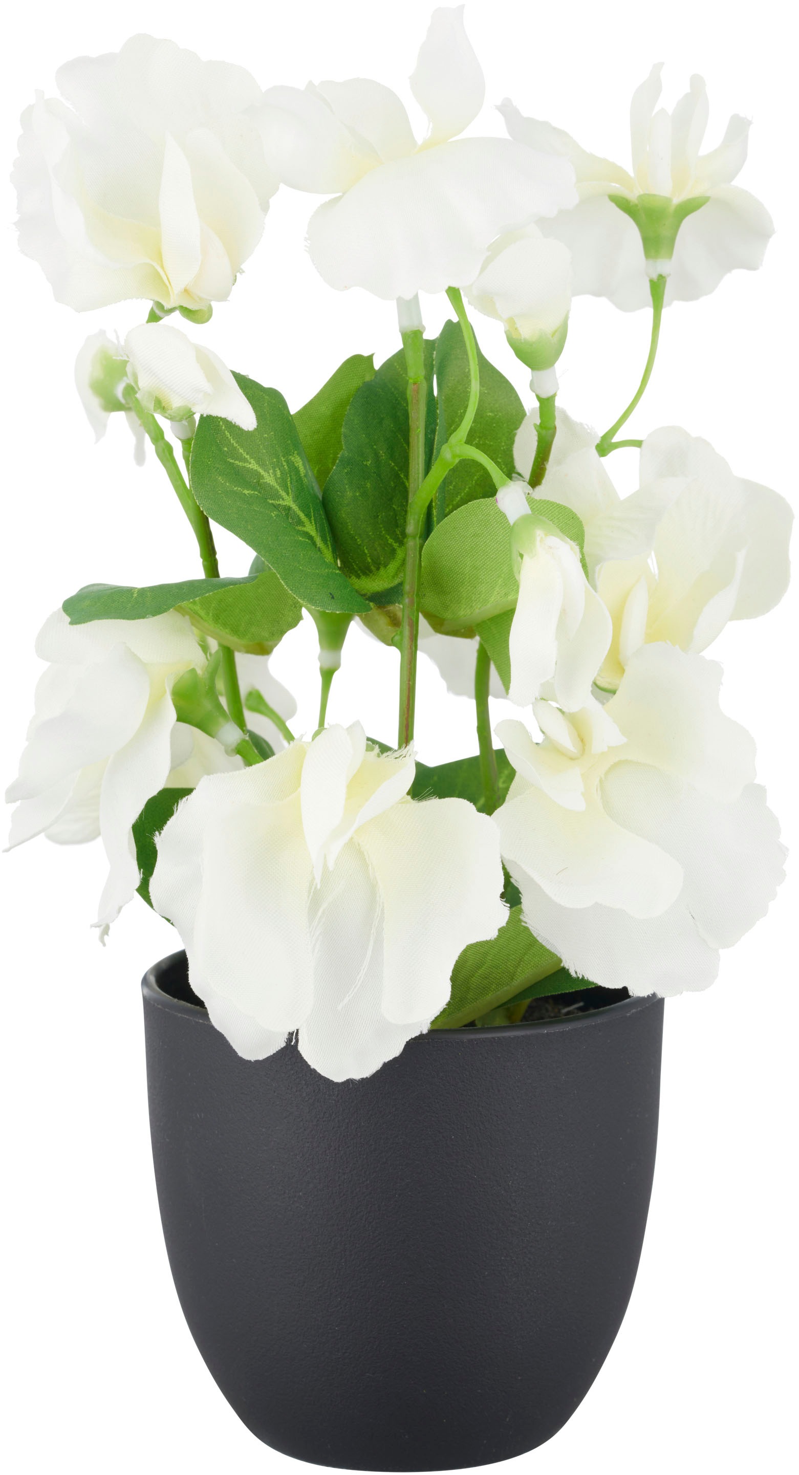 Creativ green Plante artificielle »Wicke« mit leuchtenden Blütenfarben