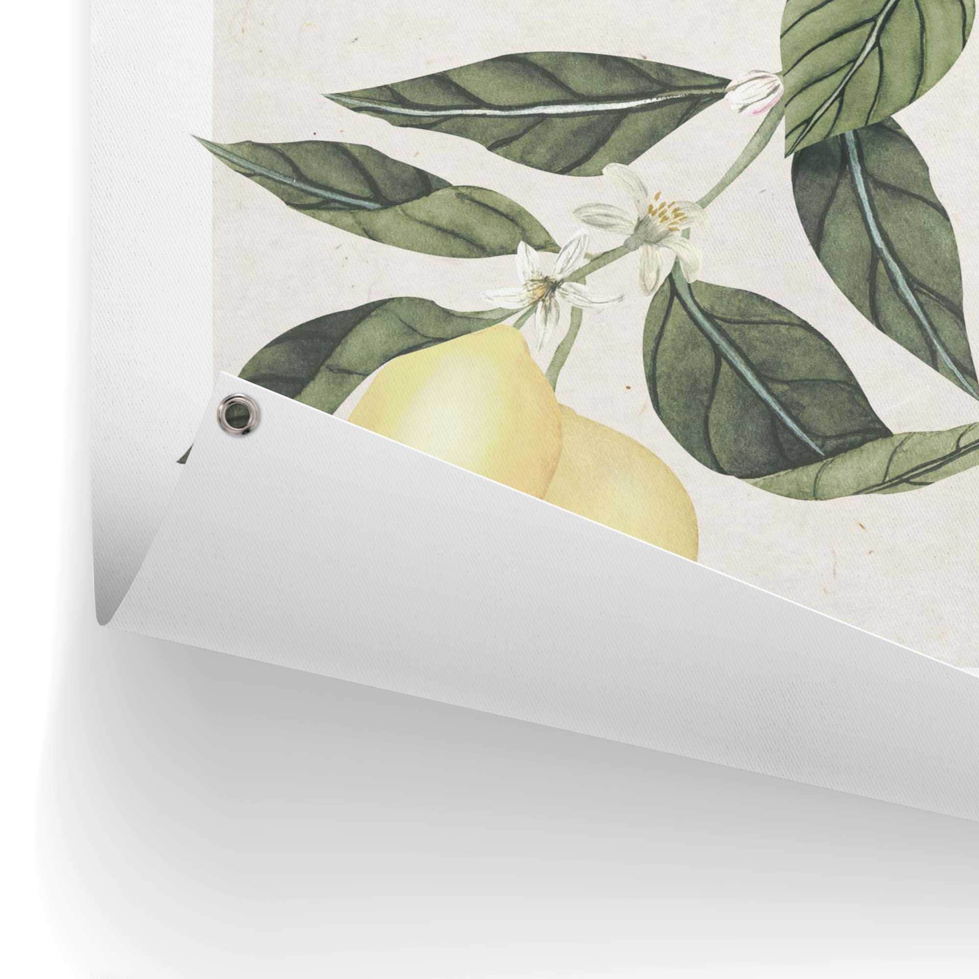 Reinders! Poster »Limoni«