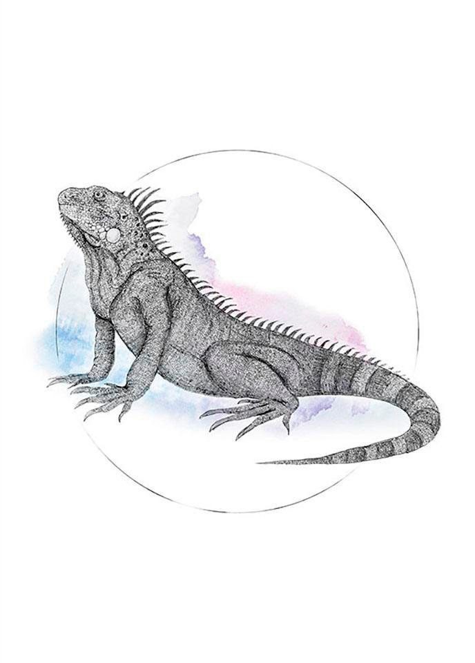 Komar Image »Iguana Watercolor« 1 cuis tlg. Wandbild zur Dekoration - ohne Rahmen