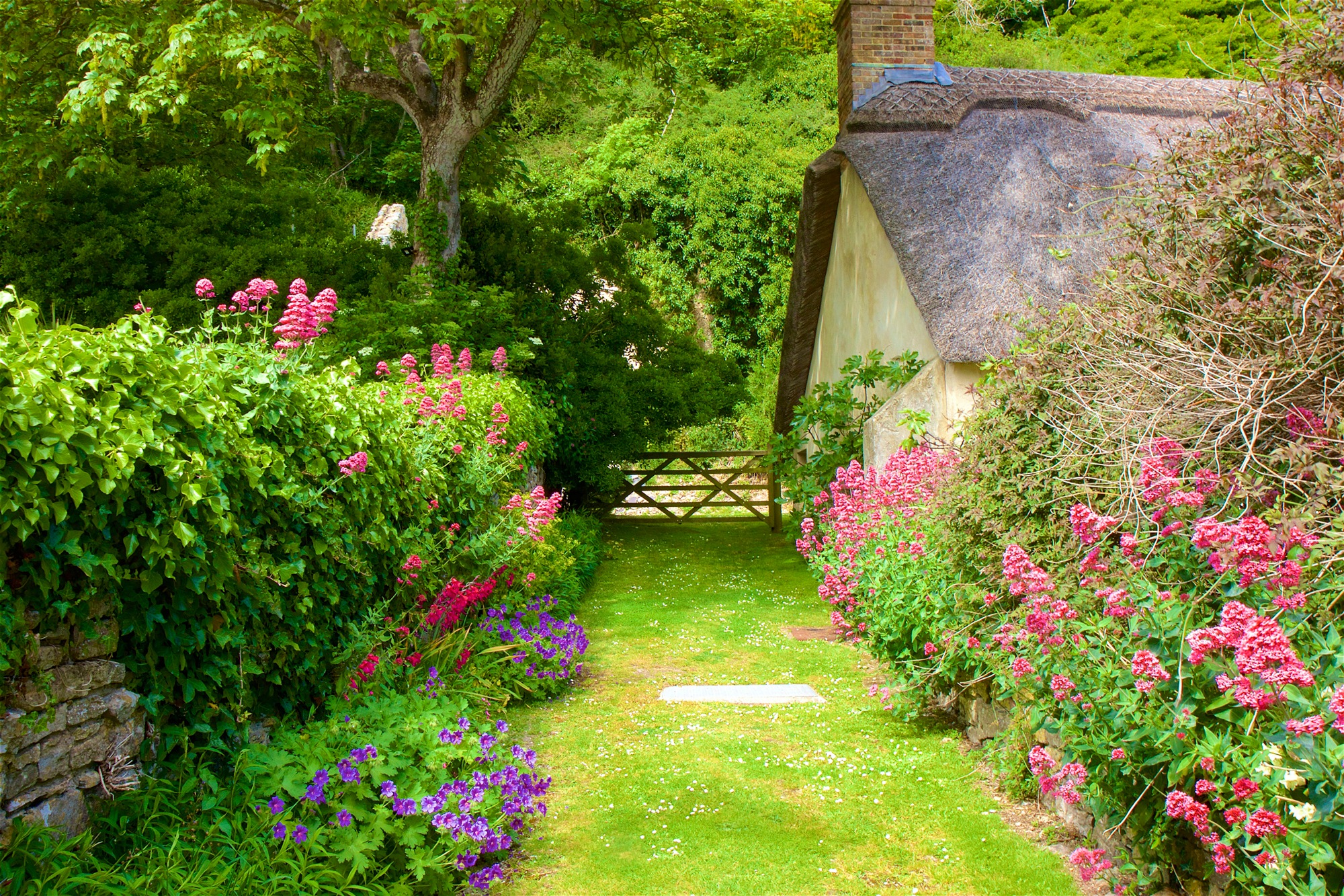 Papermoon Fototapete »GARTEN-BLUMEN BÄUME PFLANZEN STEINE WALD PERGOLA BLÜTEN«