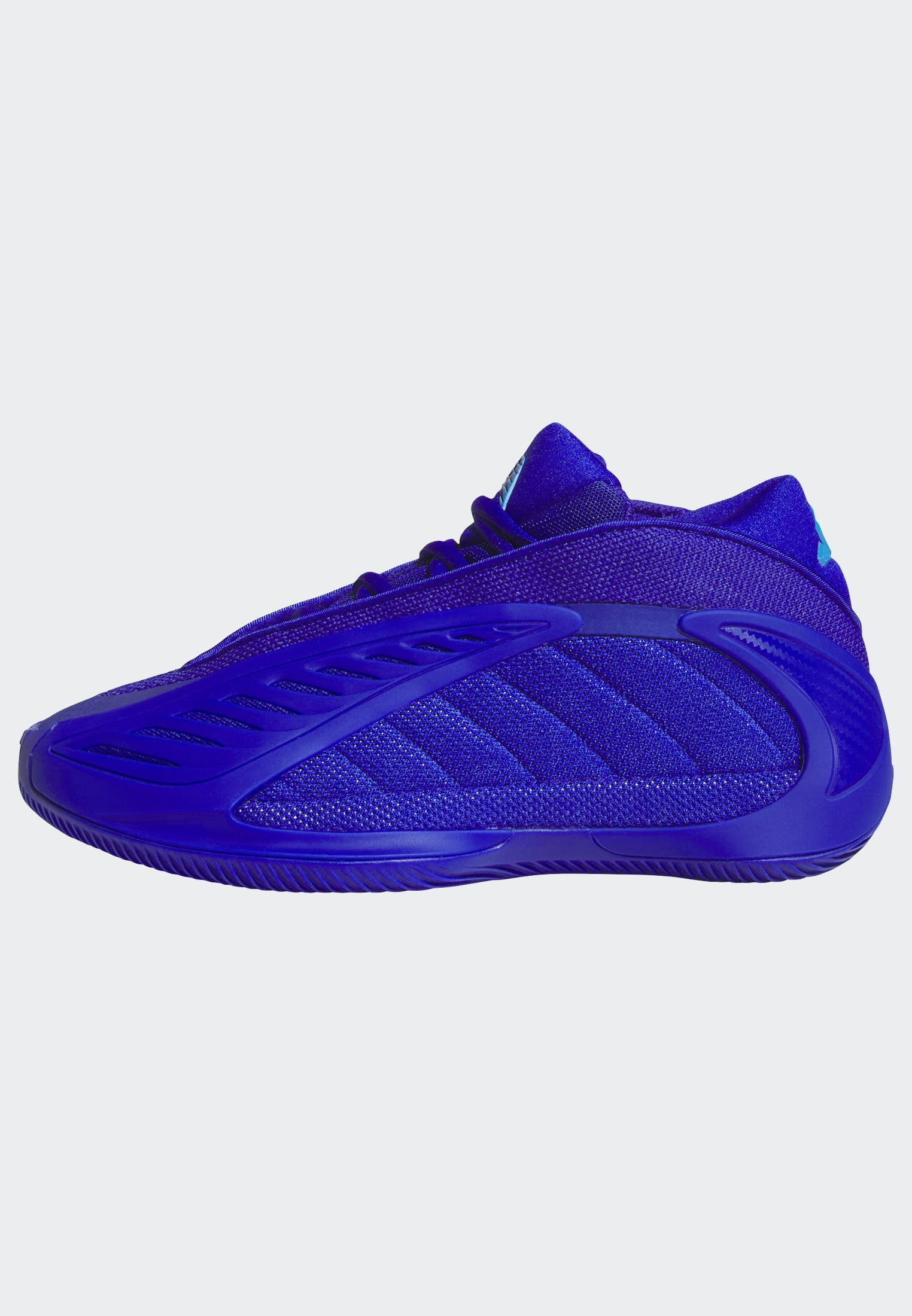 adidas Performance Basketballschuh »ANTHONY EDWARDS 2 J«  für Kinder & Jugendliche
