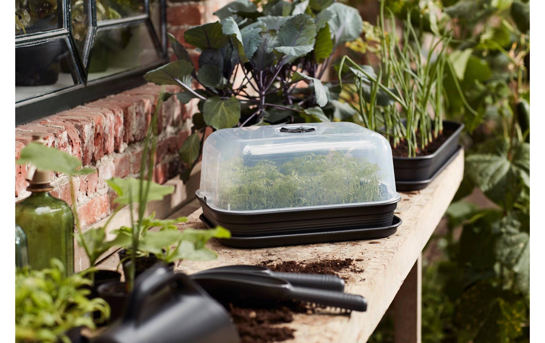 Elho Pot de culture »Anzuchtset M Green Basics«