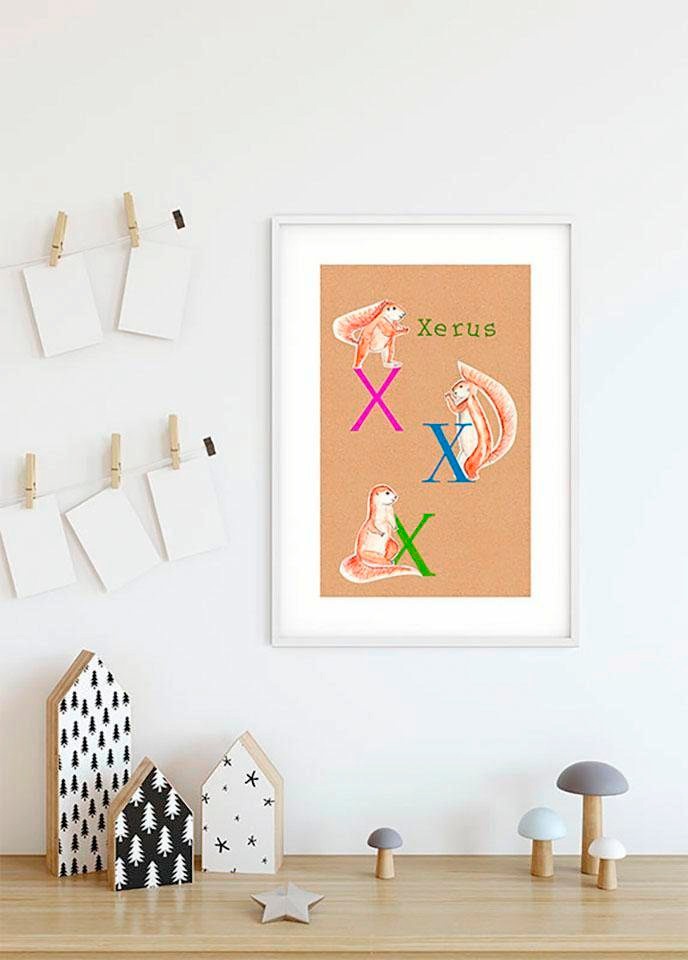 Komar Image »ABC Animal X« 1 cuis tlg. Wandbild zur Dekoration - ohne Rahmen