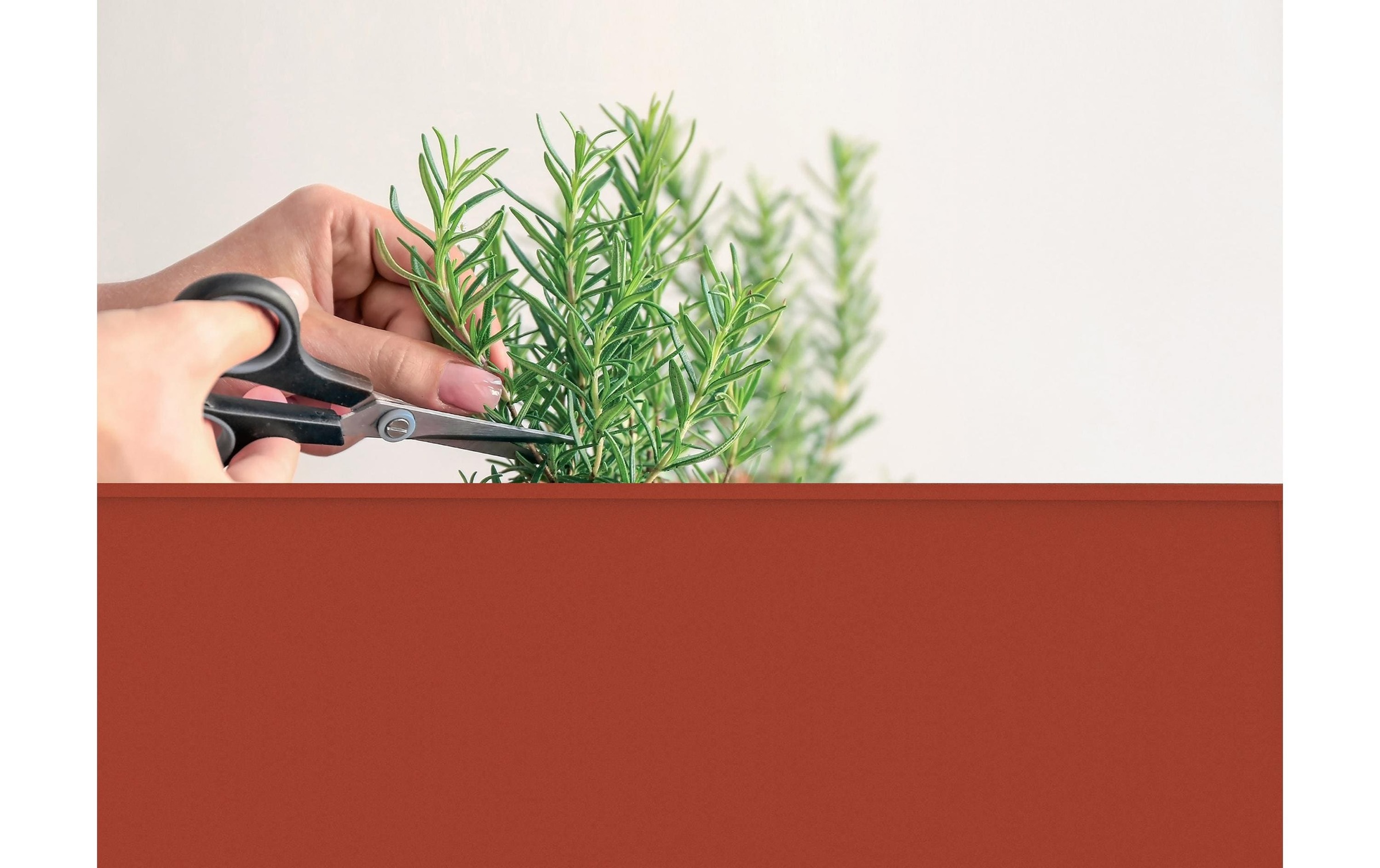 Herstera Garden Hochbeet »Urban« BxTxH: 75x35x80 cm