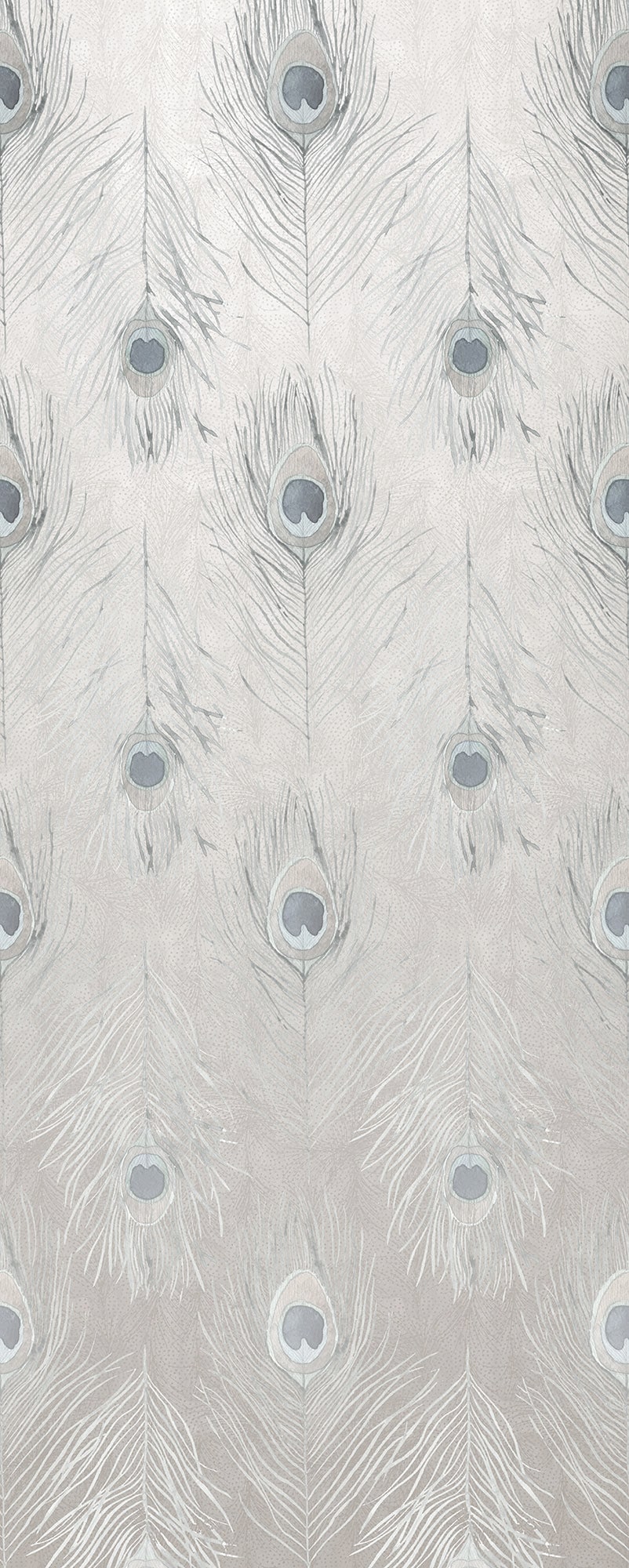 Komar Papier peint photo »Vlies Fototapete - Pfauenfedern - Grösse 100 x 250 cm« imprimé