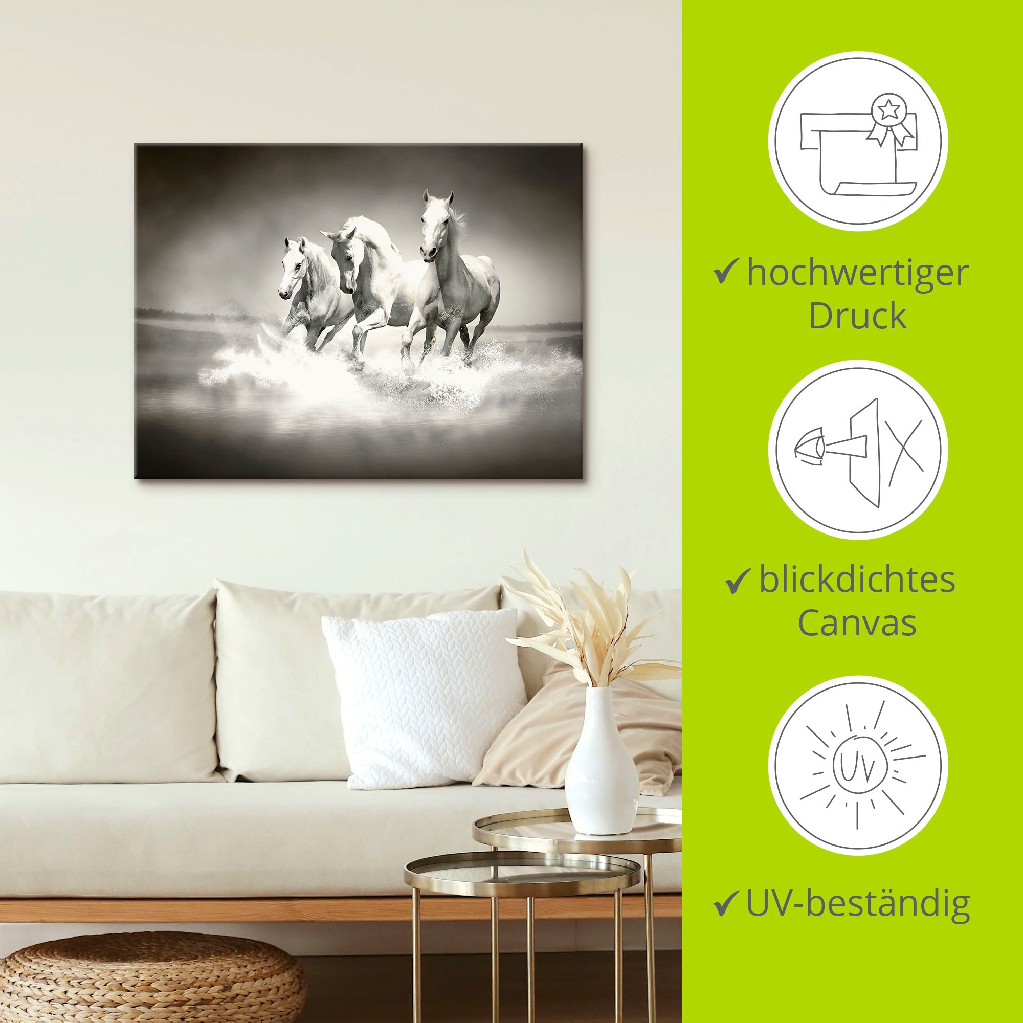 Artland Leinwandbild »Herde von weissen Pferden« Haustiere 1 Stk. tlg. auf Holzrahmen gespannt