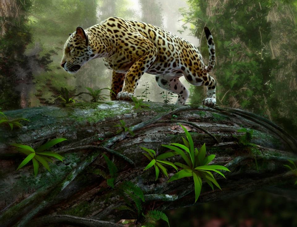 Papermoon Fototapete »Jaguar on the Prowl« glatt