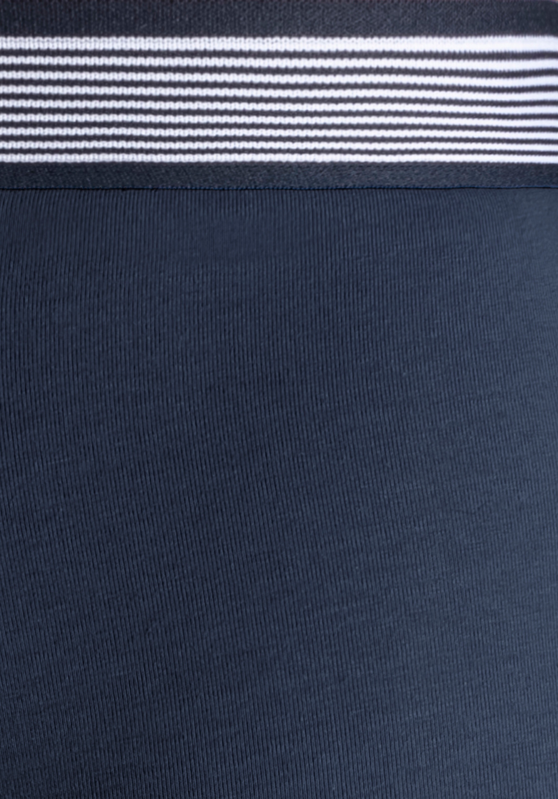 H.I.S Boxer »Boxershorts für Herren« Packung, 4 cuis mit gestreiftem Webbund