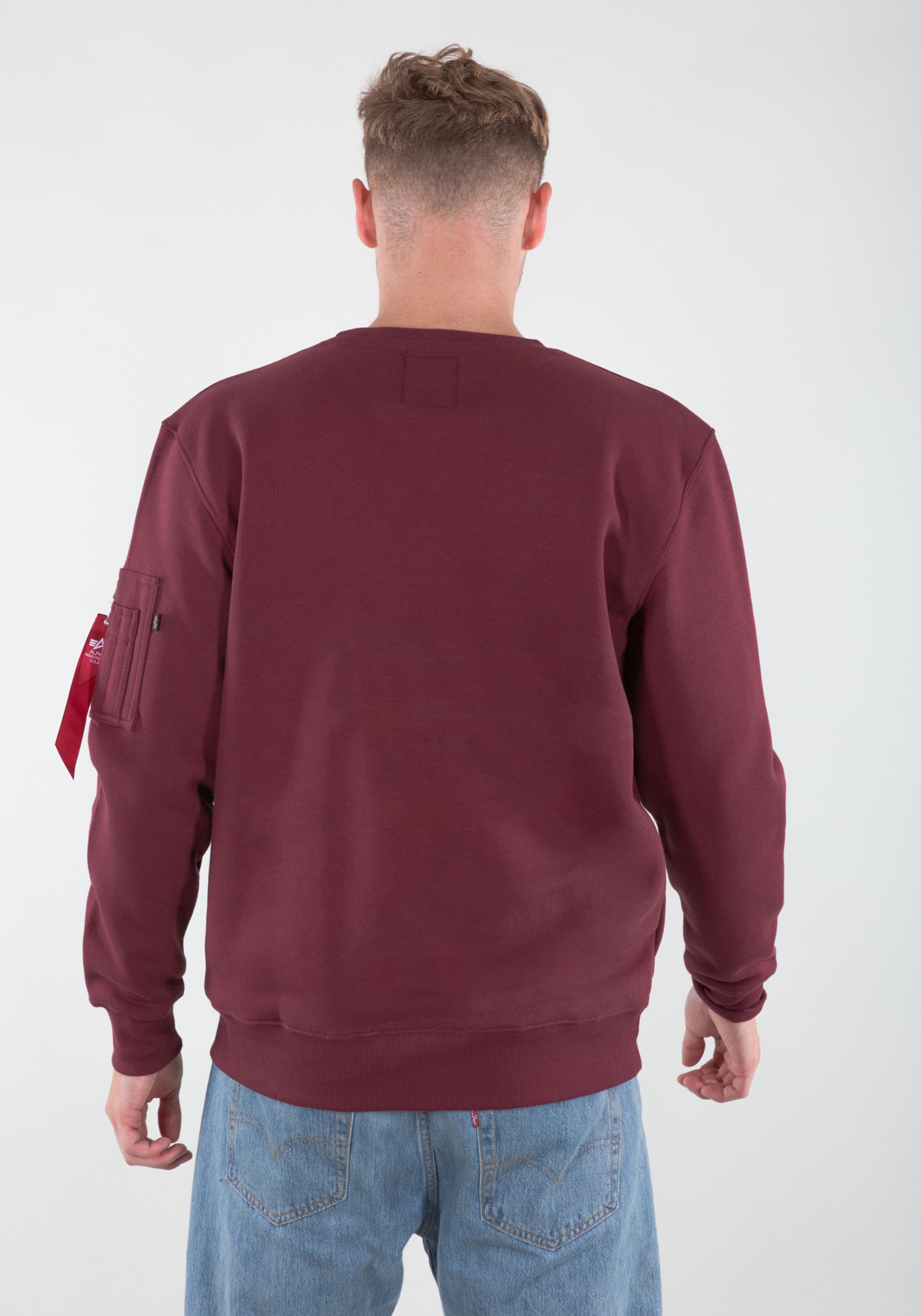 Alpha Industries Sweater »NASA Reflective Sweatshirt«
