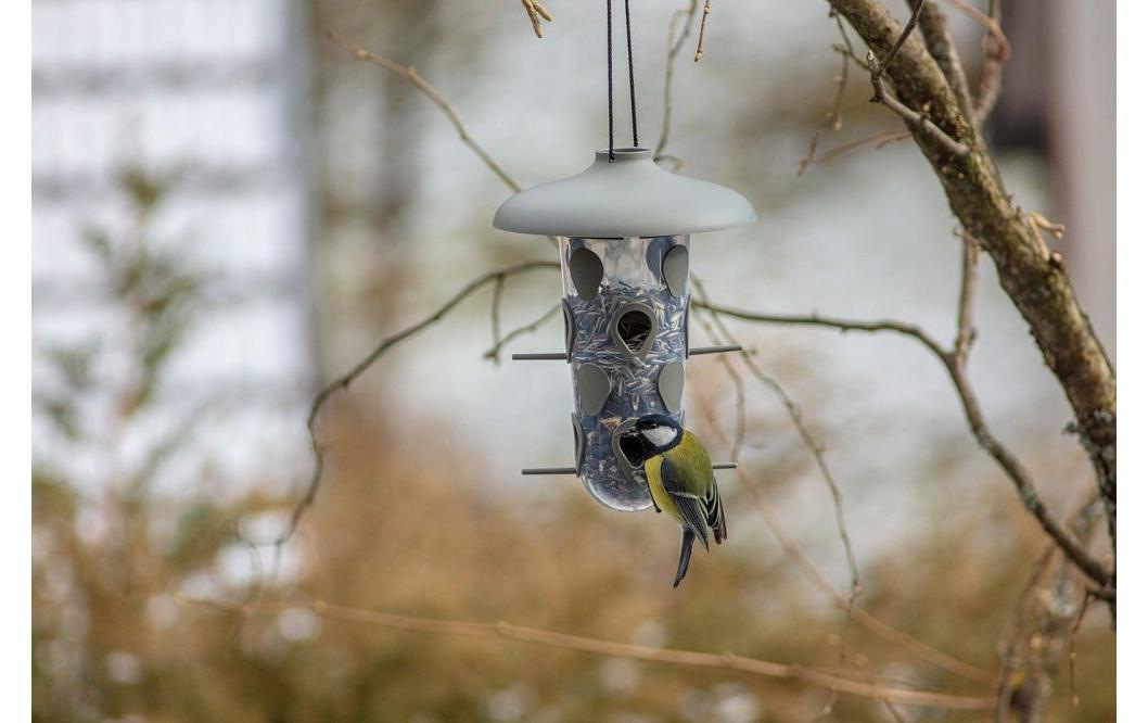   Maison des oiseaux »Plastia Robin 3-in-1«