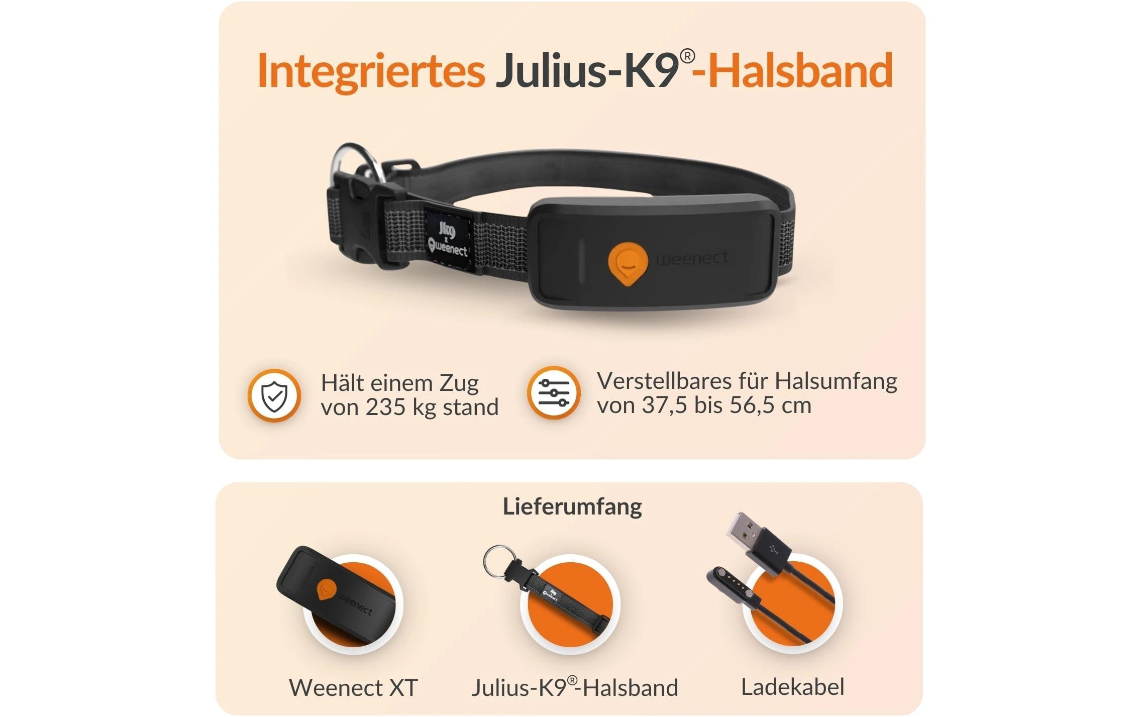   GPS-Hundetracker »Weenect für Hunde XT mit Halsband«