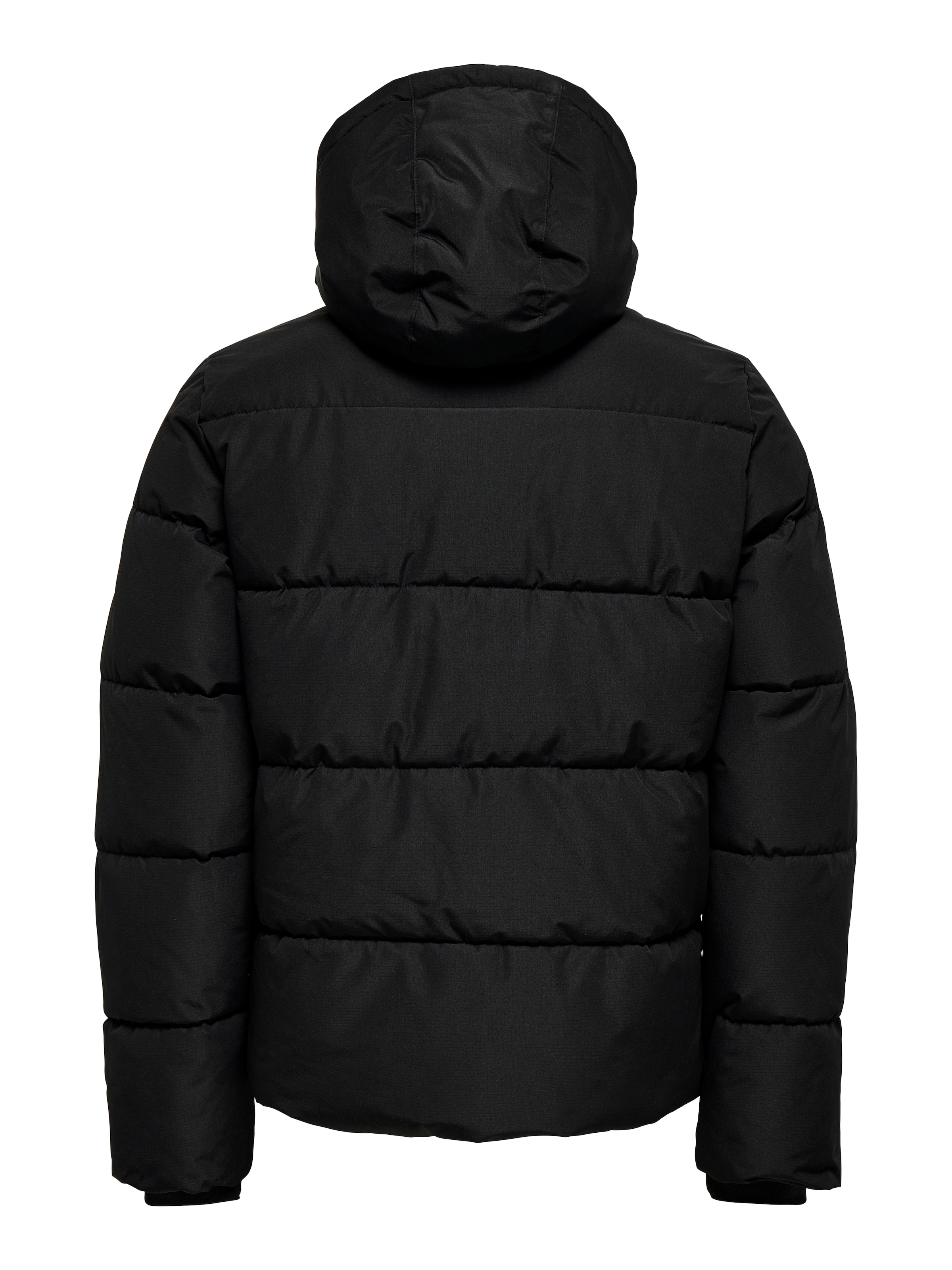 ONLY & SONS Steppjacke »ONSELIJAH PCKT. HOOD JACKET OTW NOOS« mit Kapuze