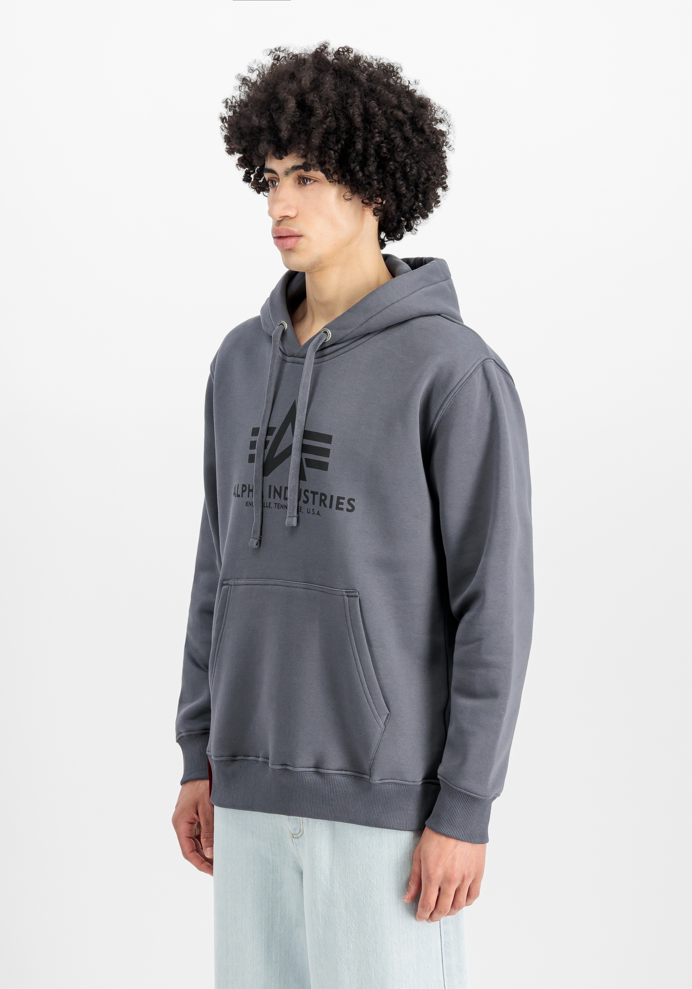 Alpha Industries Kapuzensweatshirt »Basic Hoody«, Baumwollmischung, regular fit
