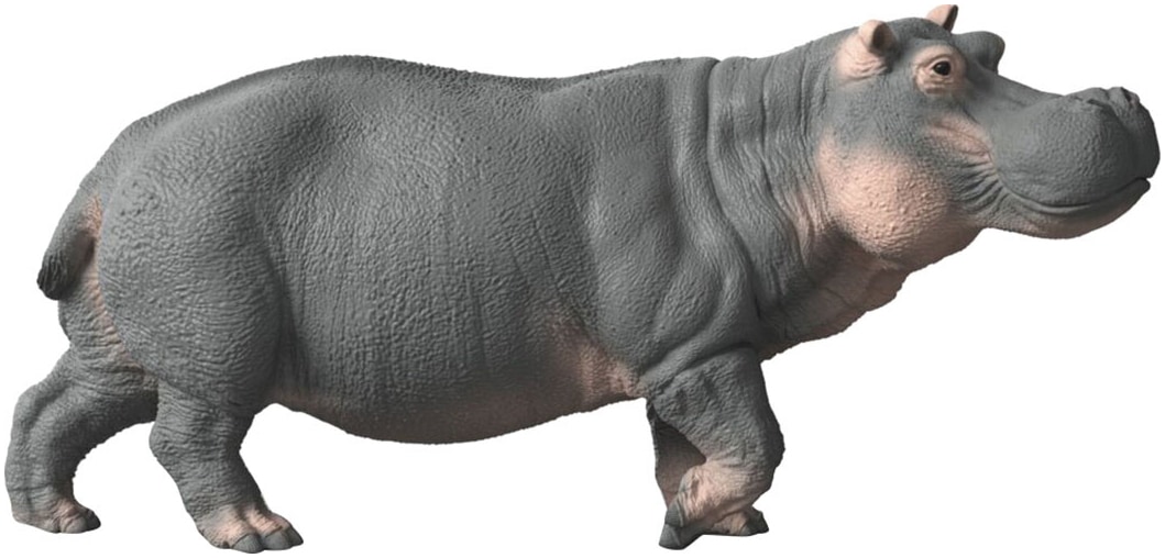 Schleich® Personnage de jeu »WILD LIFE, Flusspferd (14938)«