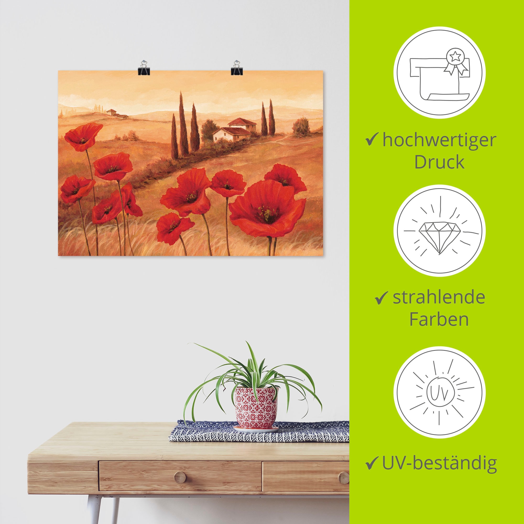 Artland Wandbild »Mohnblumen in der Toskana« Europa 1 Stk. tlg. als Leinwandbild, Poster in verschied. Grössen