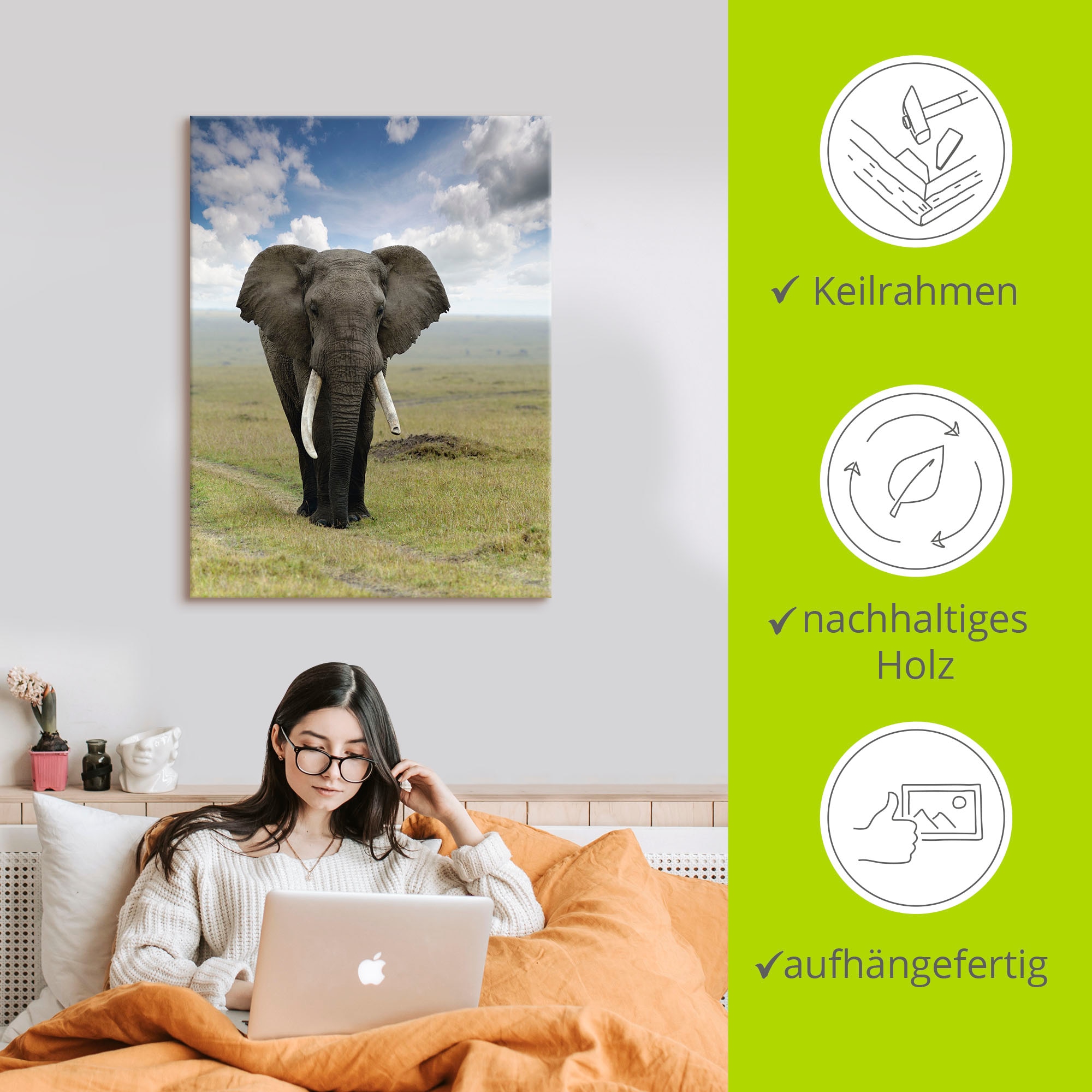 Artland Fresque murale »Elefant« 1 cuis tlg. als Alubild, Leinwandbild in verschied. Grössen