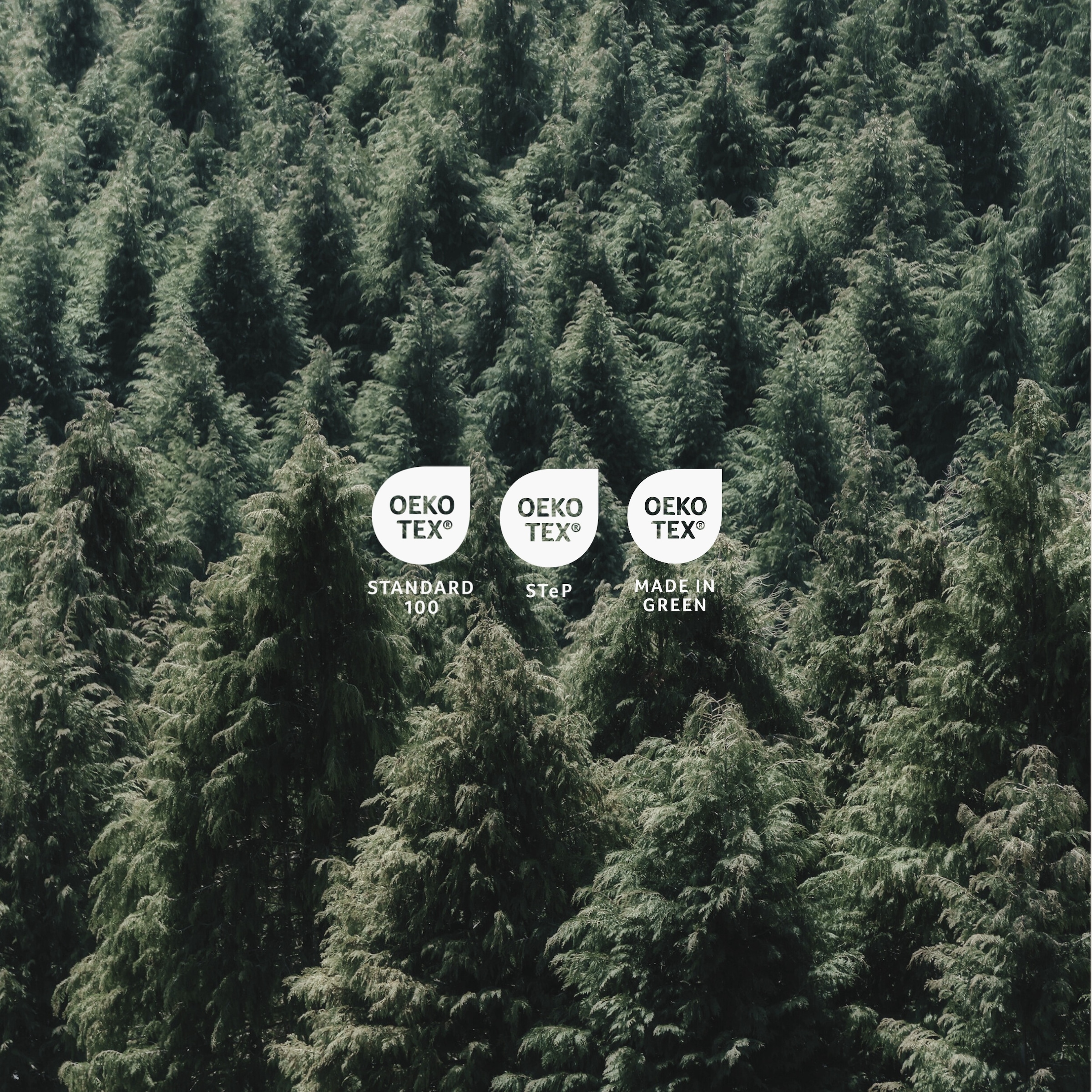 uncover by SCHIESSER Linge de lit »Grebur aus weicher Baumwolle mit einem dezenten Zickzackmuster« 2 cuis Made in Green