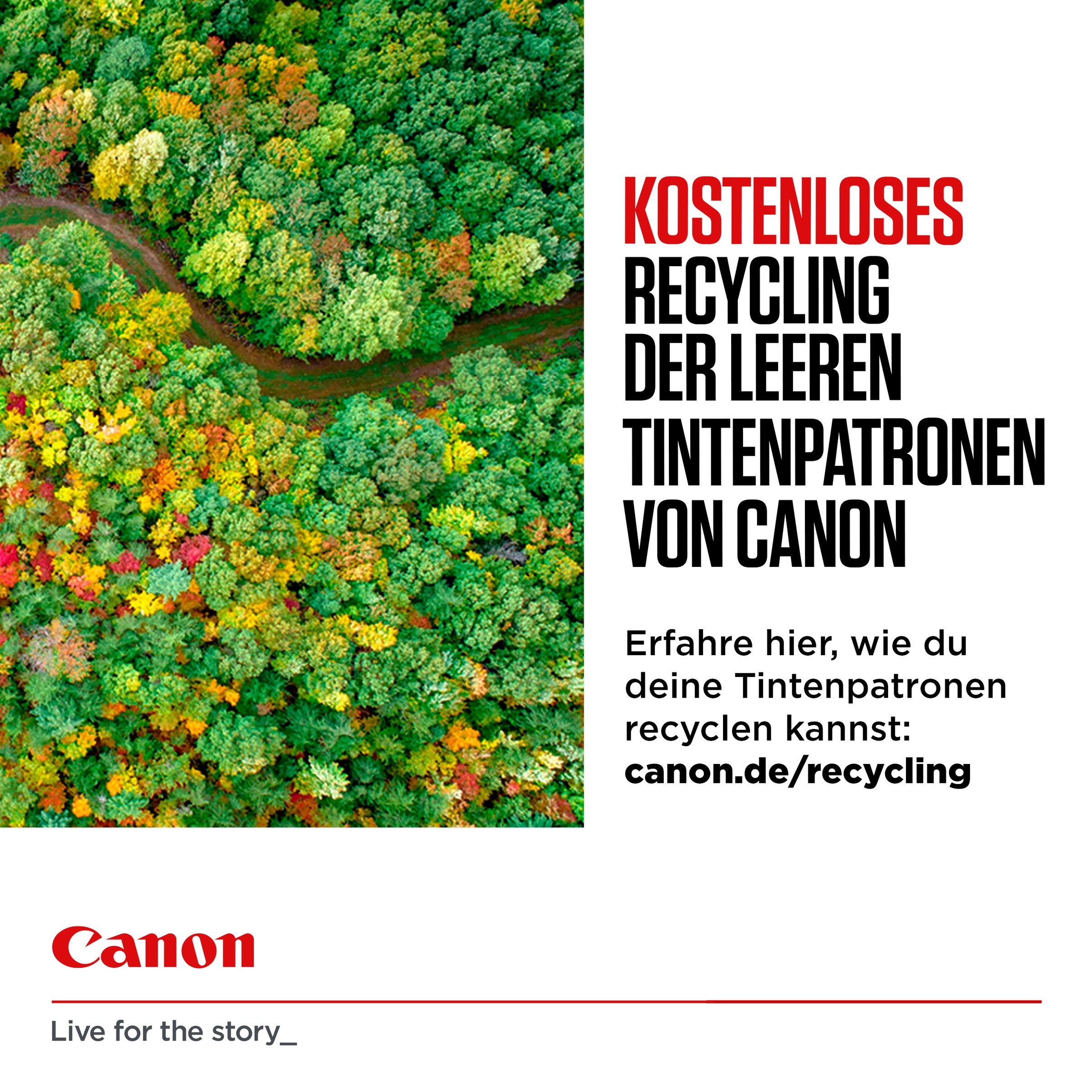 Canon Cartouche d'encre »PG540L/CL541XL Photo Value Pack«