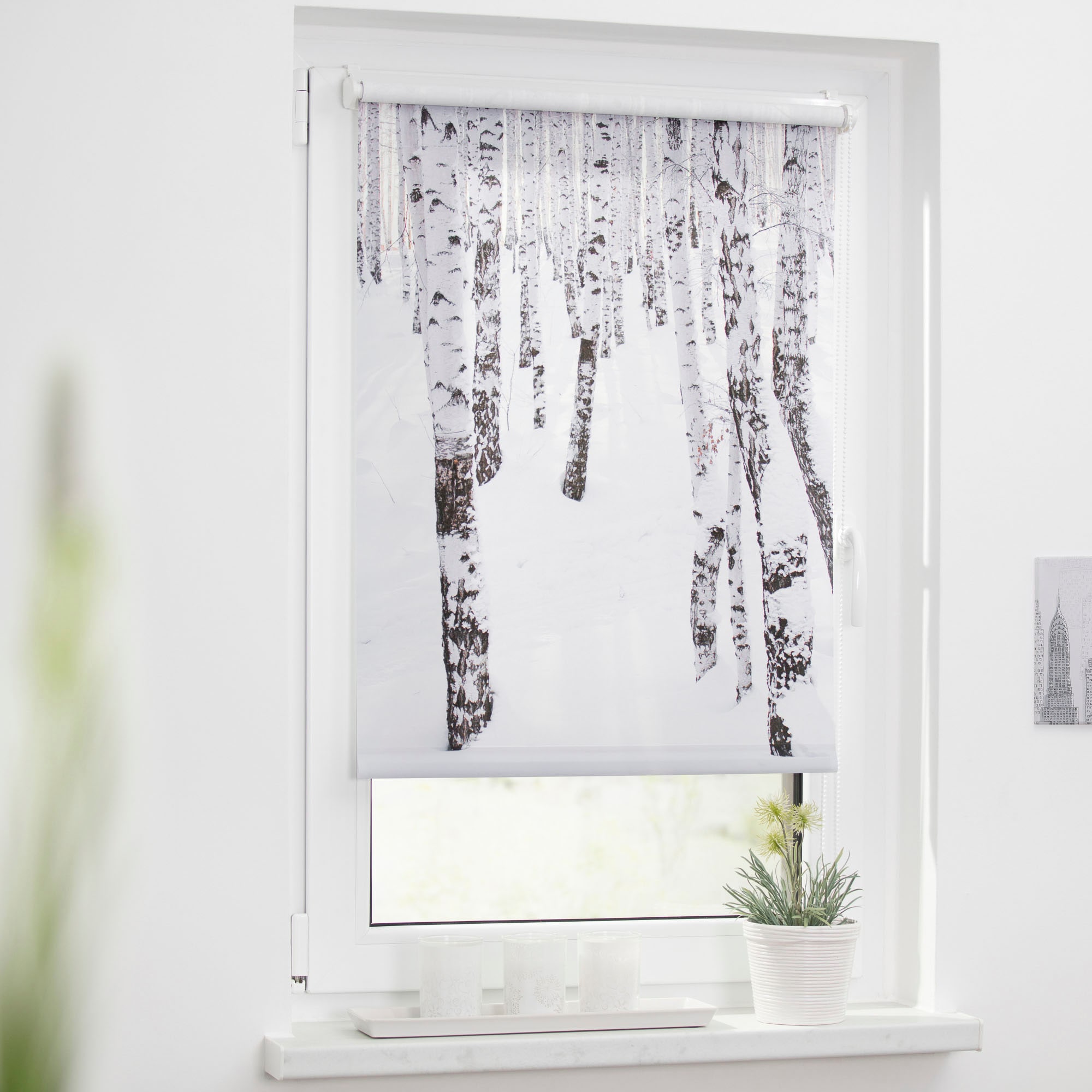 LICHTBLICK ORIGINAL Store à tirage latéral »Klemmfix Motiv Birkenwald« Lichtschutz ohne Bohren freihängend bedruckt