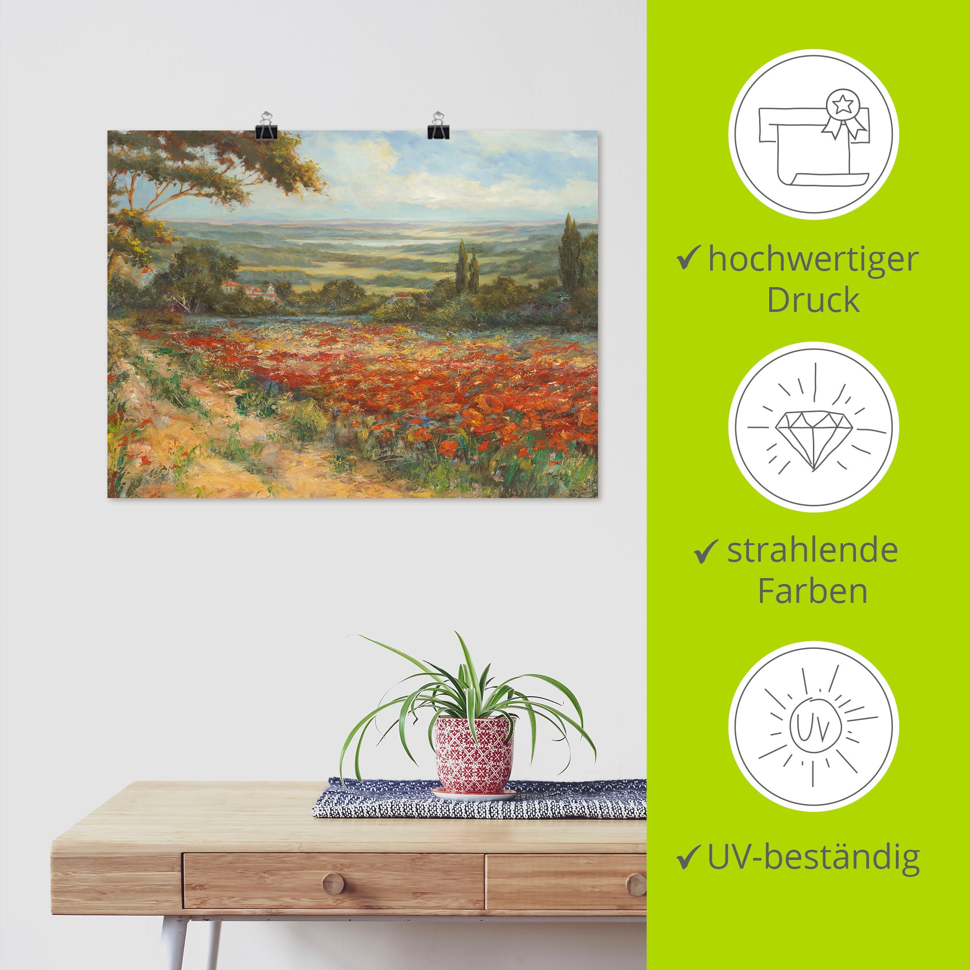 Artland Fresque murale »Weg am Mohnfeld« 1 cuis tlg. als Leinwandbild, Poster in verschied. Grössen