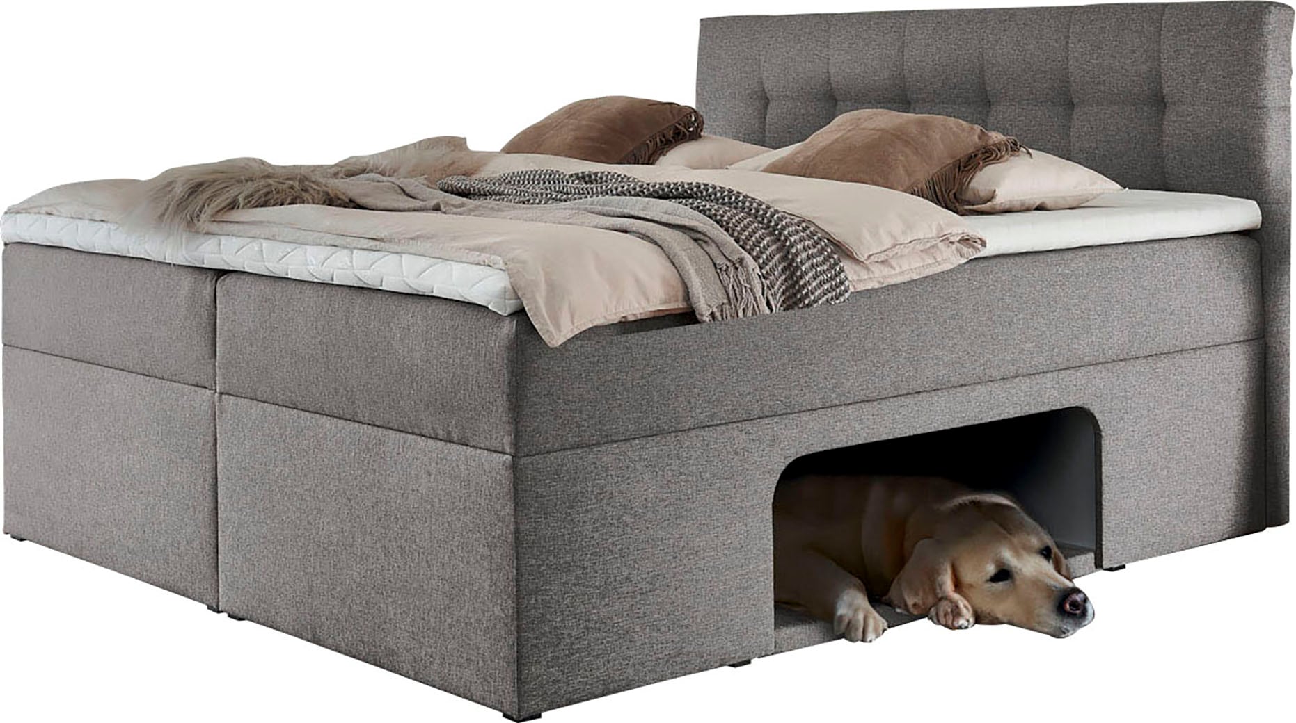 Home affaire Lit de boxe »Carolin« avec niche incluant un coussin rembourré pour animaux