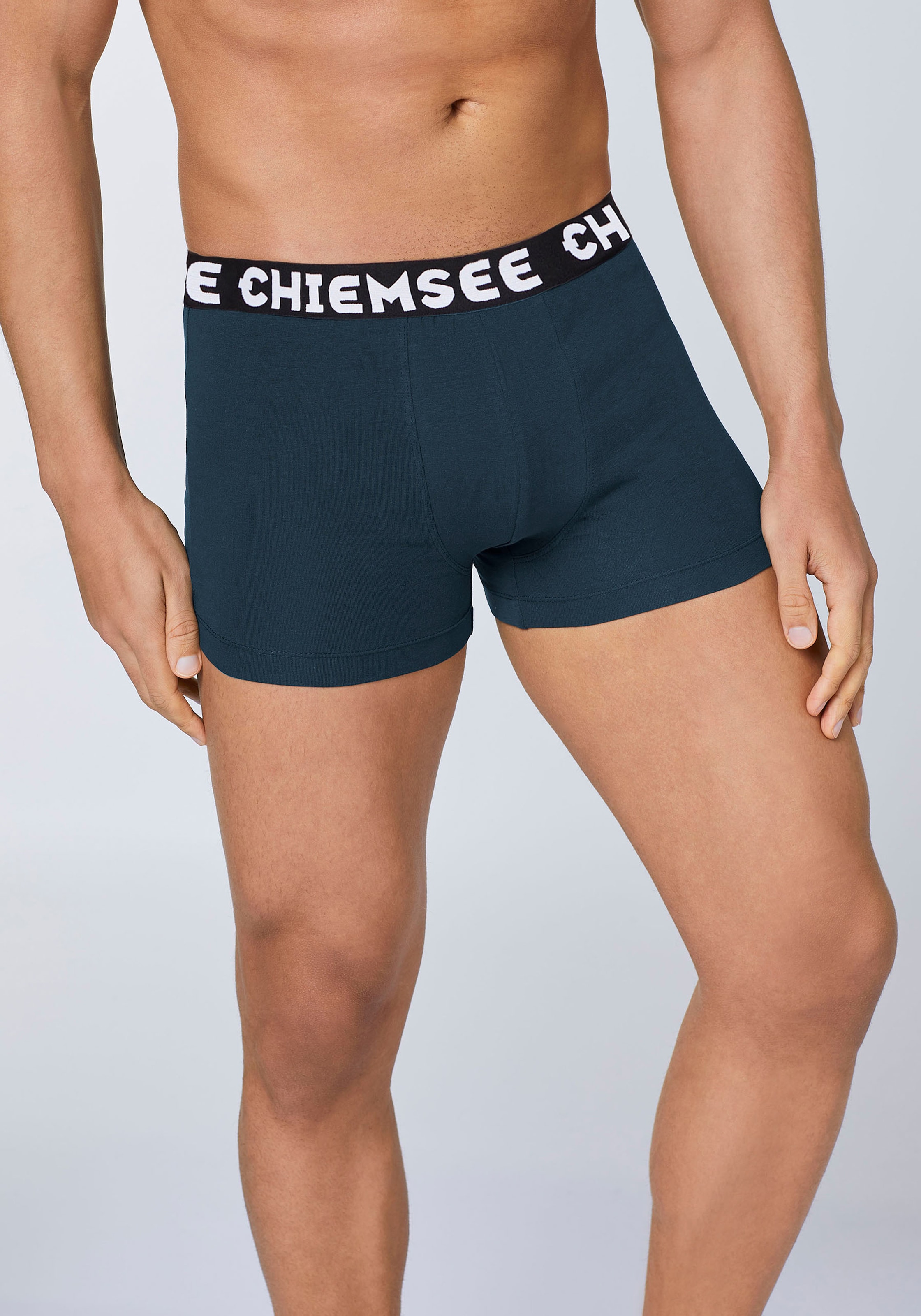 Chiemsee Boxers Paquet, 5 cuis lot de 5, avec gousset en coton, en mélange de coton