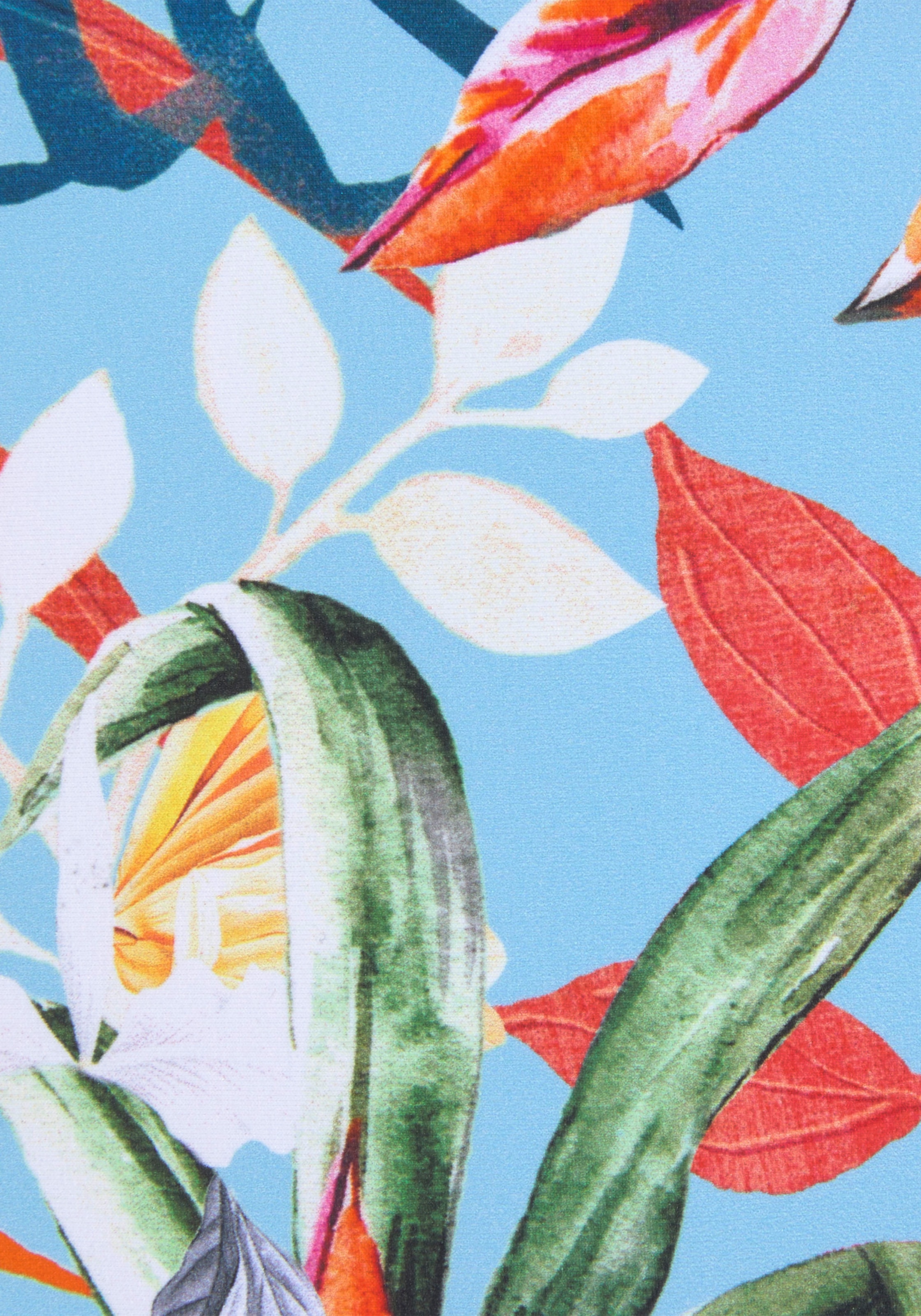 Venice Beach Pantalon de bikini »Caru« mit Allover-Print