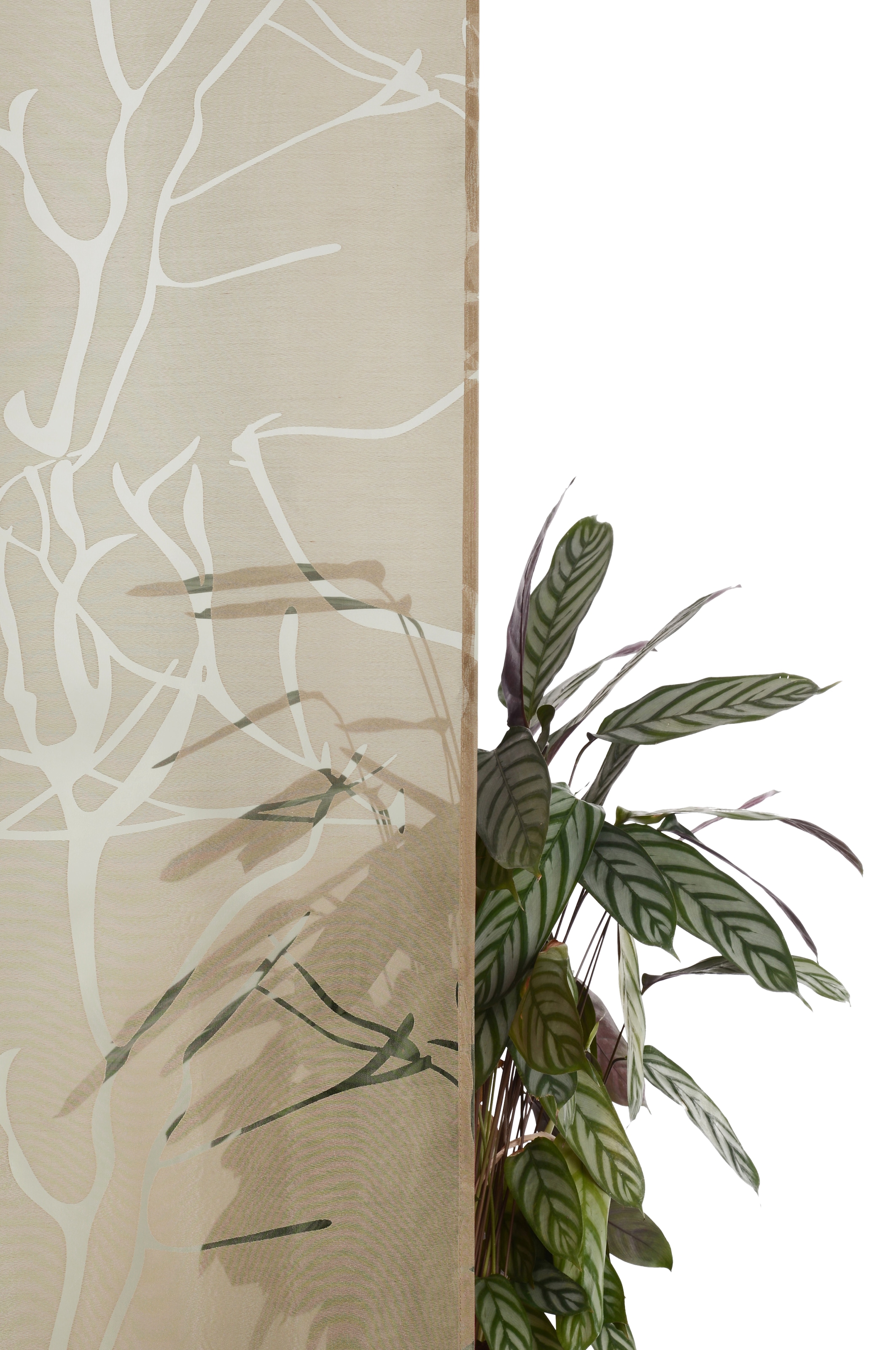 GOODproduct Gardine »Anna, 1 Stück, halbtransparent, Äste-Motiv« Ösen 1 Stk. tlg. Bestseller, Äste-Motiv, Viskose, Polyester