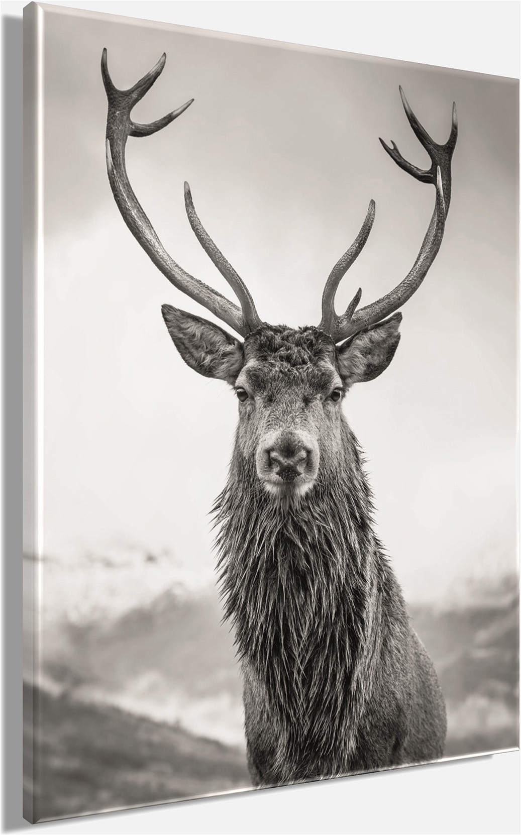 Bönninghoff Tableau sur toile »Wandbild HIRSCH 46x61 cm – Leinwandbild Keilrahmen Deko modern« Cerf 1 cuis tlg. tendu sur châssis