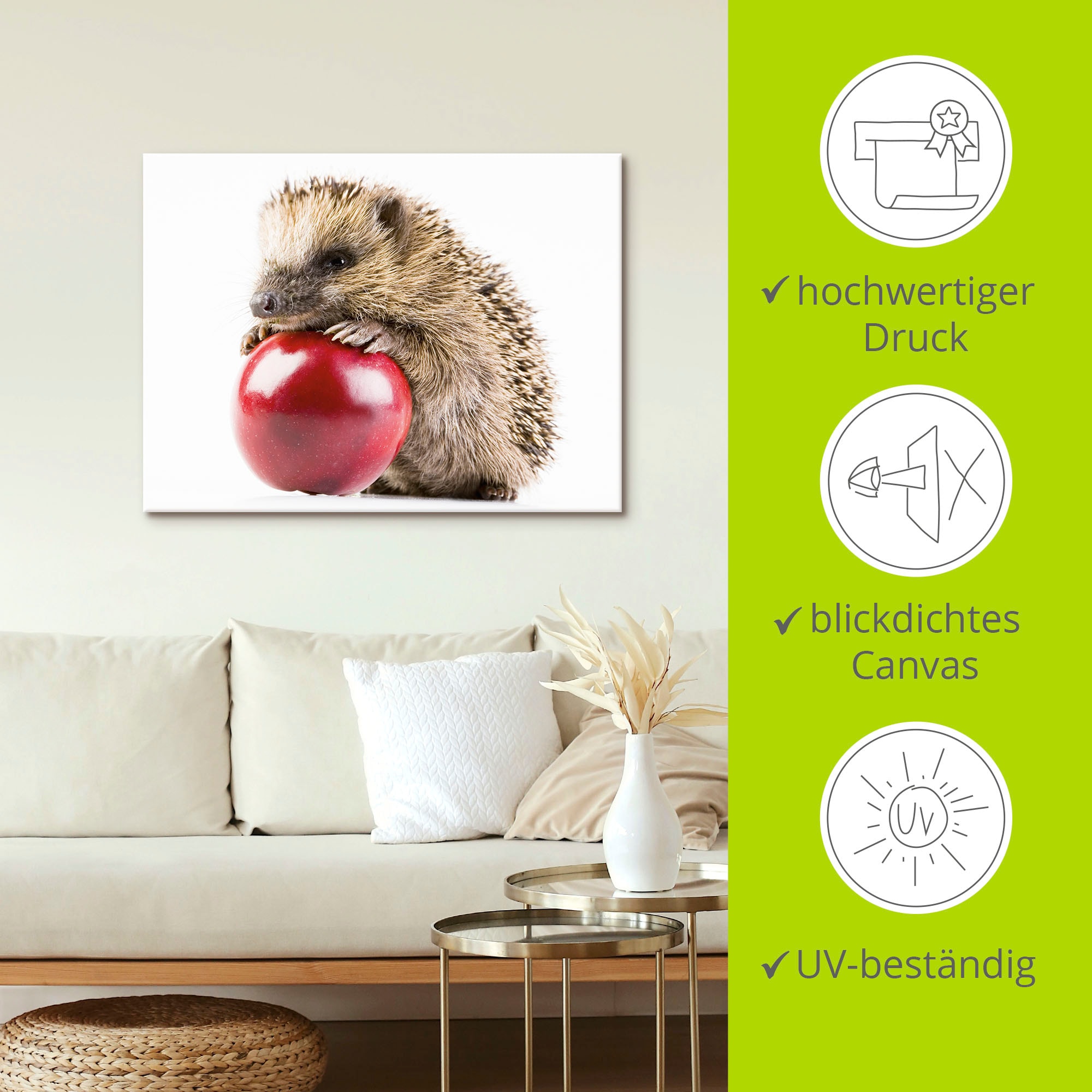 Artland Leinwandbild »Glücklicher Igel« Wildtiere 1 Stk. tlg. auf Holzrahmen gespannt